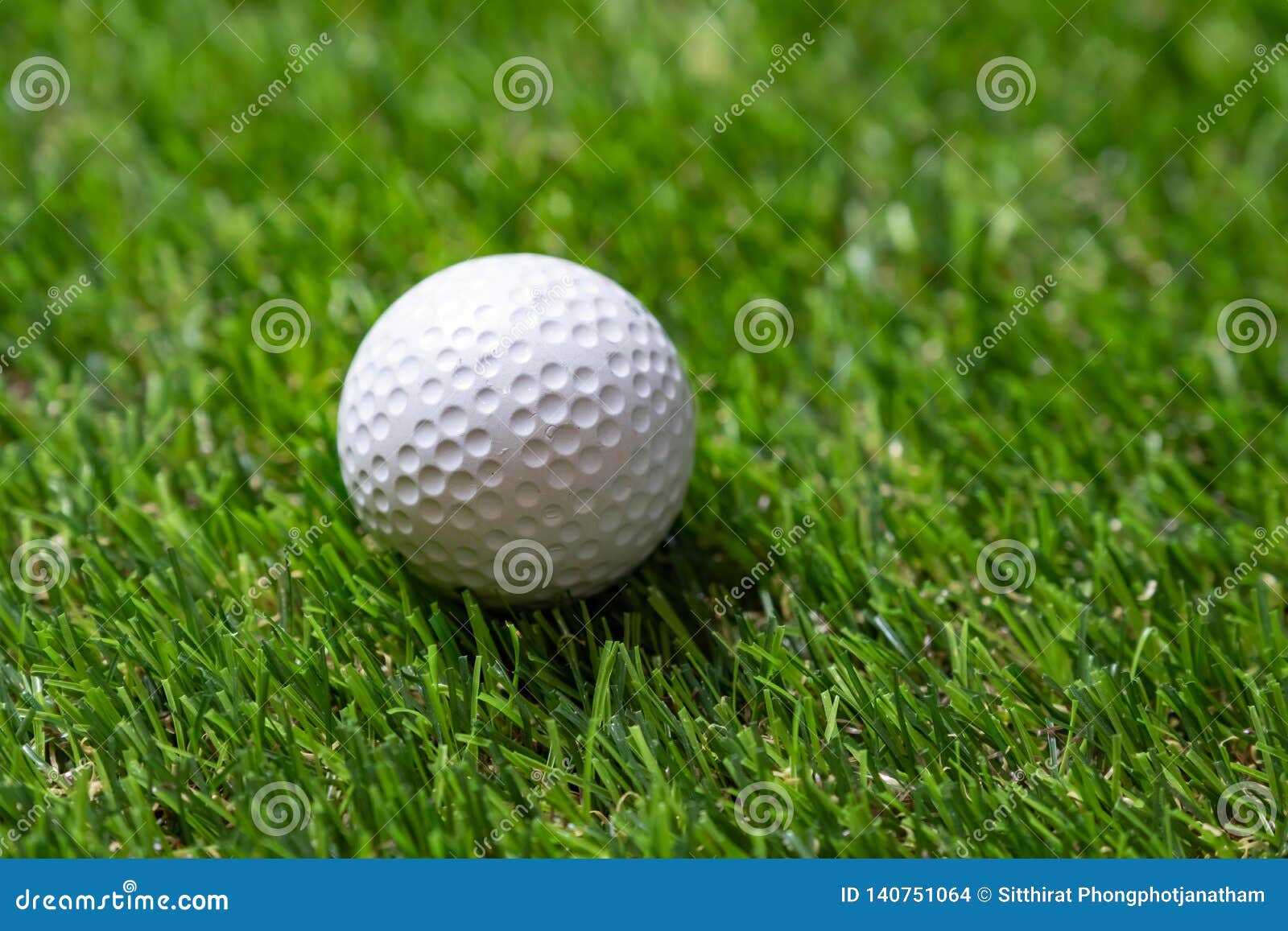 Closeup Golf ball on grass stock photo. Image of meadow 140751064