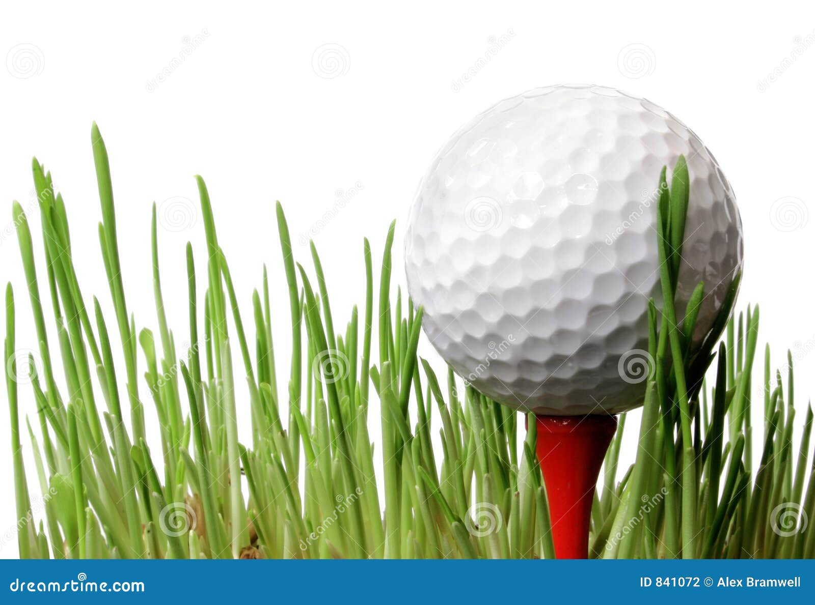 Golf Ball In Grass Stock Photography Image 841072