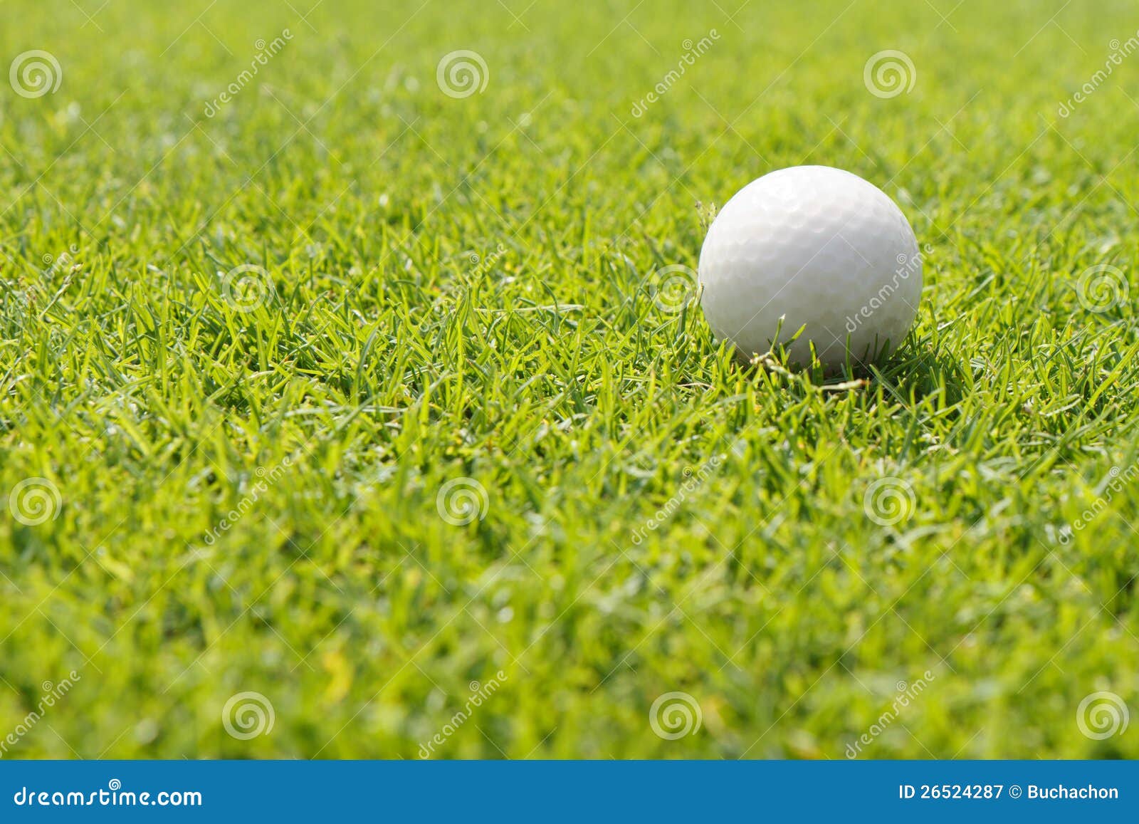 Golf ball on green stock image. Image of club, leisure 26524287
