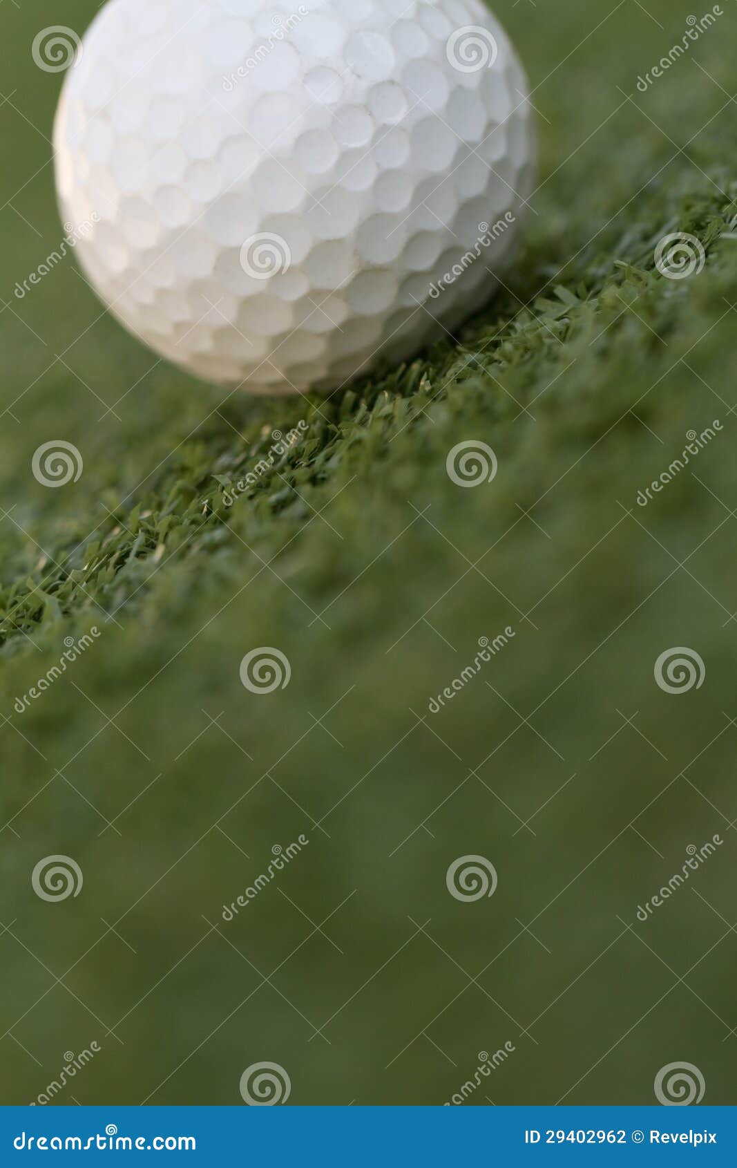 Golf Ball on Green stock photo. Image of sport, hobby 29402962