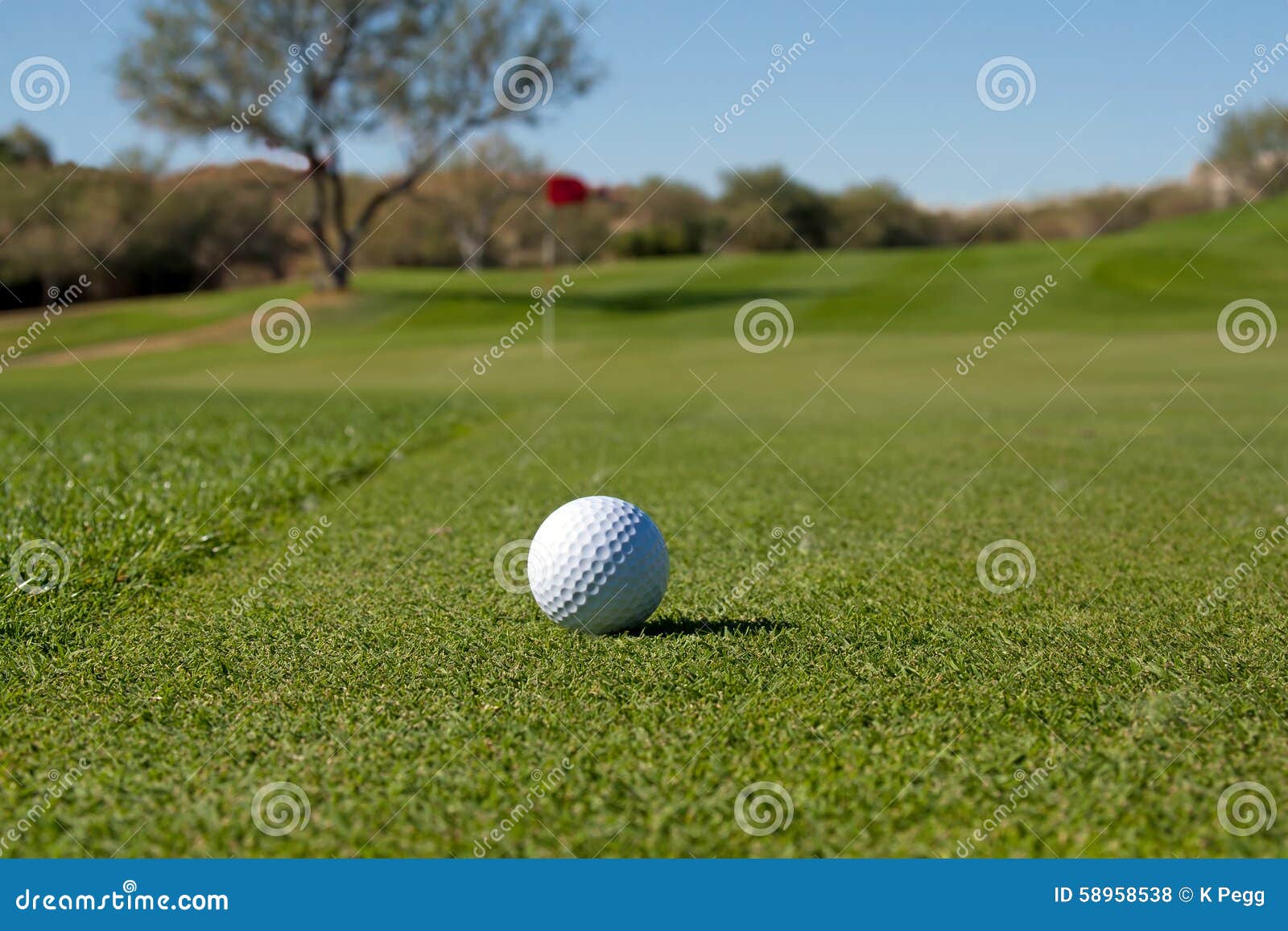 Golf Ball stock photo. Image of white, travel, ball, exercise 58958538