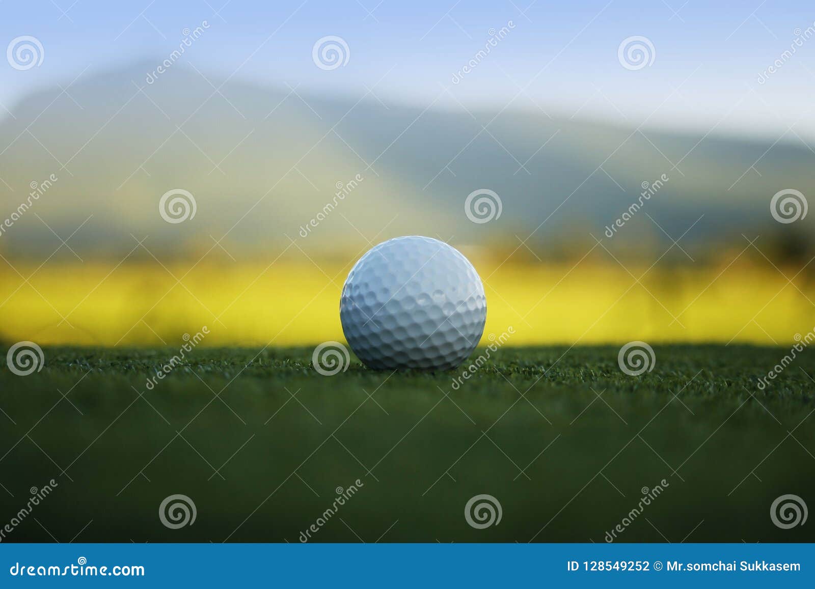 Golf Ball on Green in Beautiful Golf Course at Sunset Stock Photo Image of ball, natural
