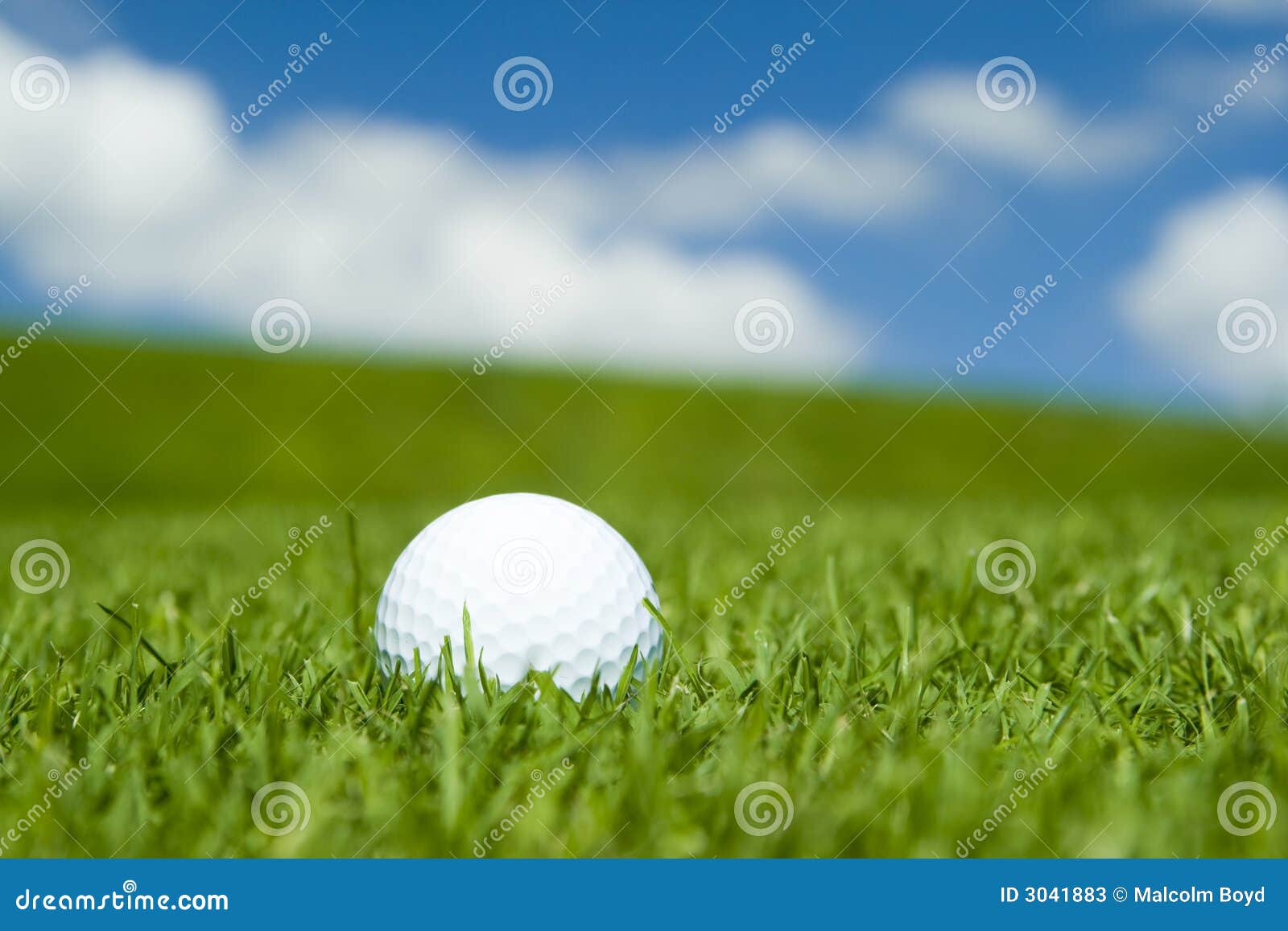 golf ball on green fairway