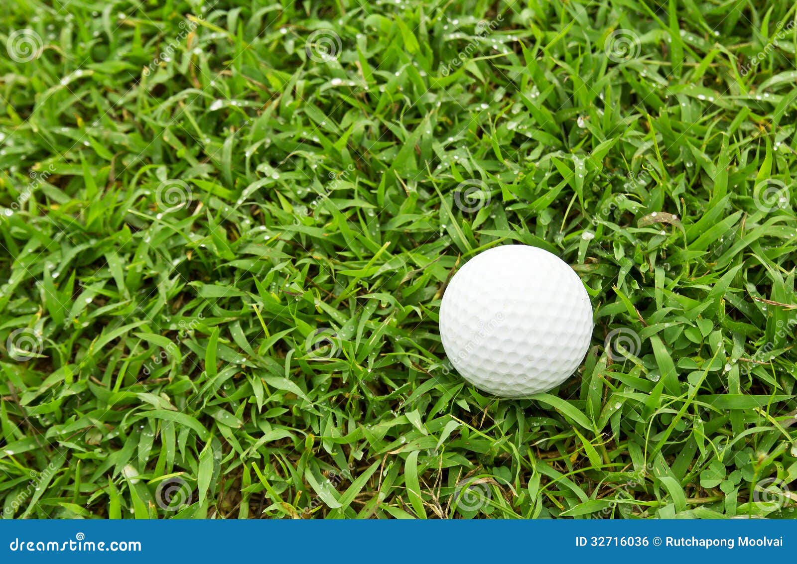 Golf ball on green grass stock photo. Image of close 32716036