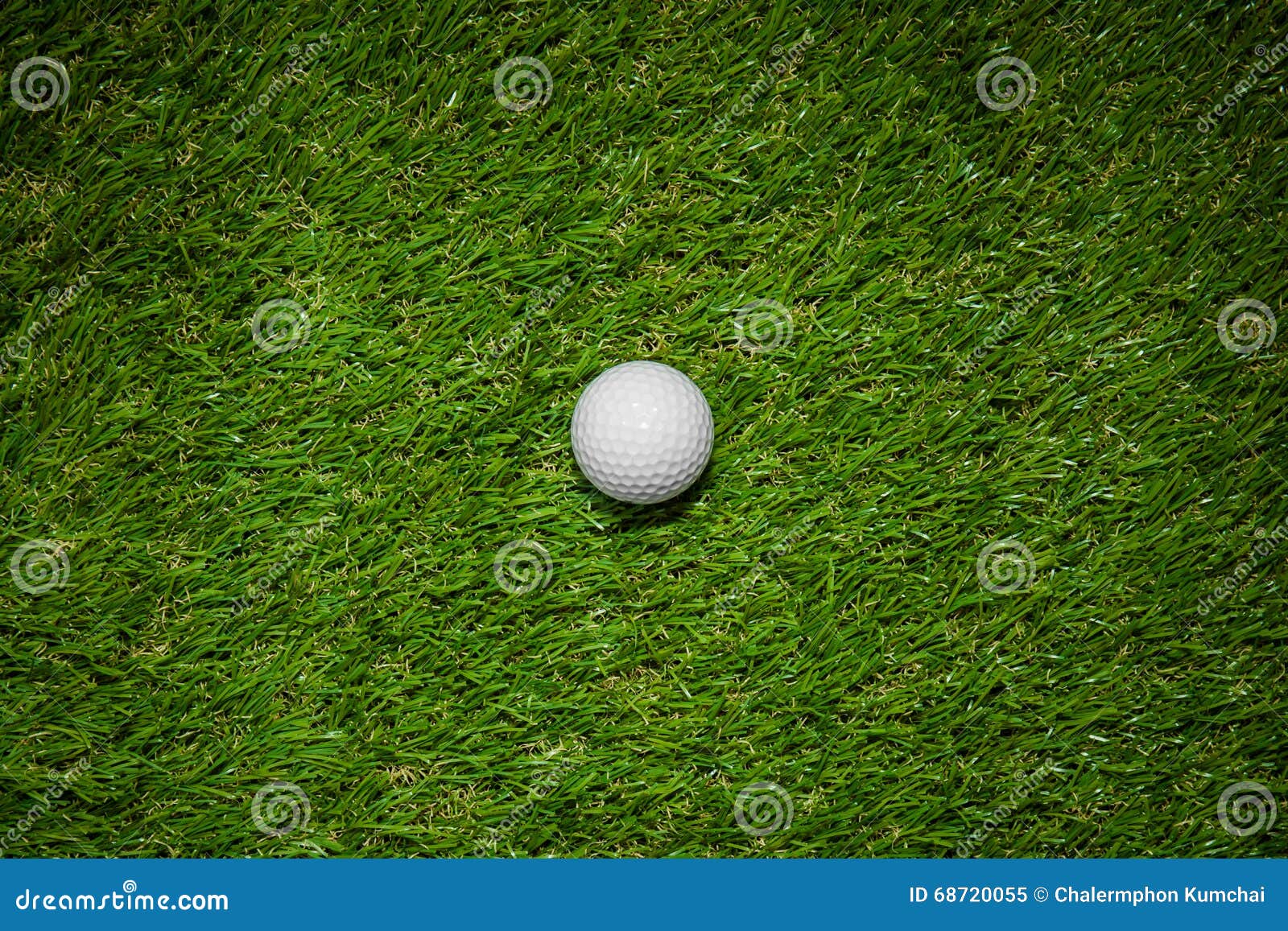 Golf Ball on Green Grass in Golf Course Stock Image Image of golfing