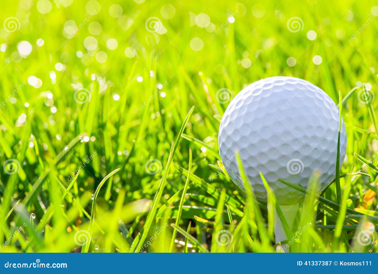 Golf ball in green grass stock image. Image of holder 41337387