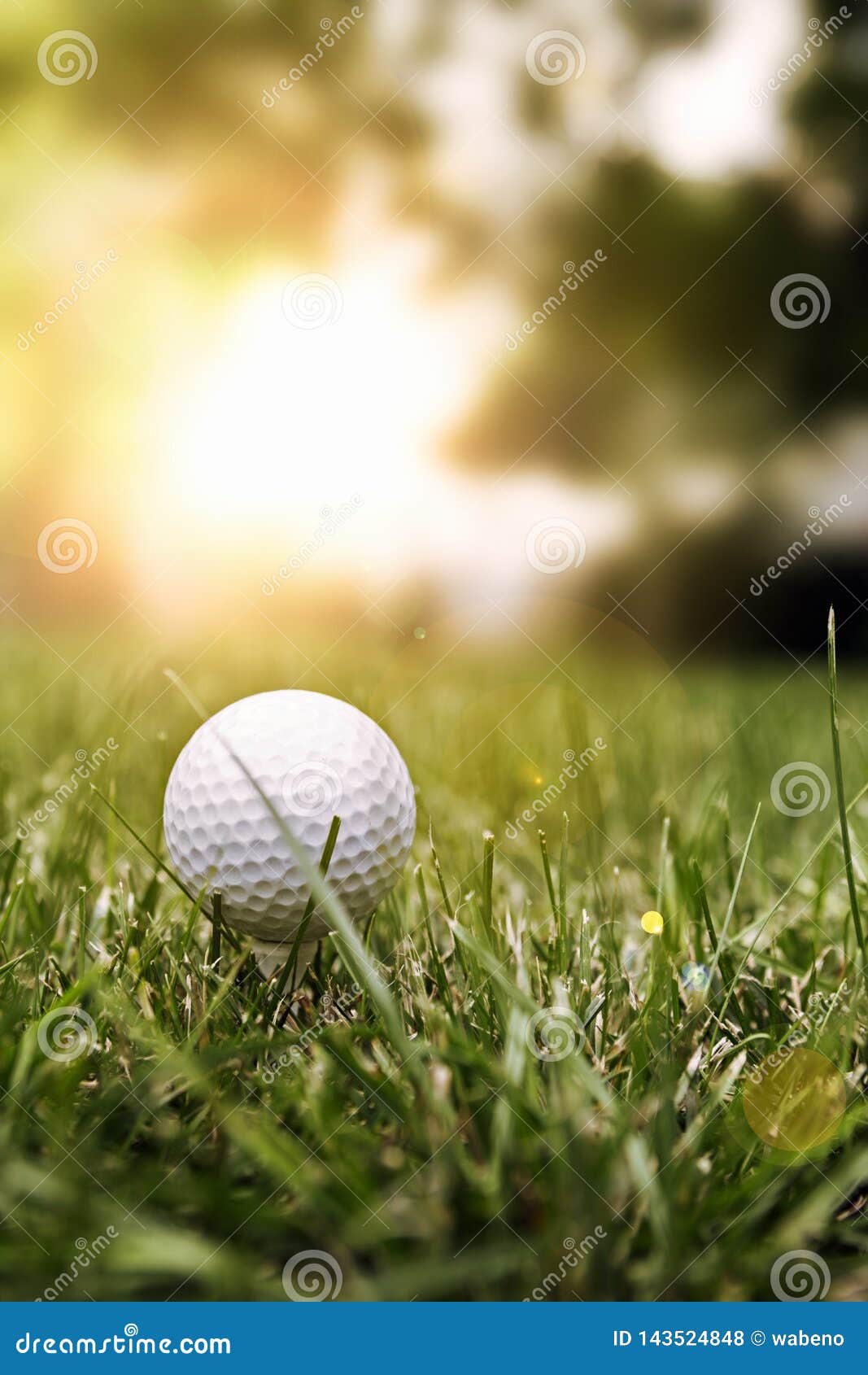 Golf ball on green grass stock photo. Image of macro 143524848