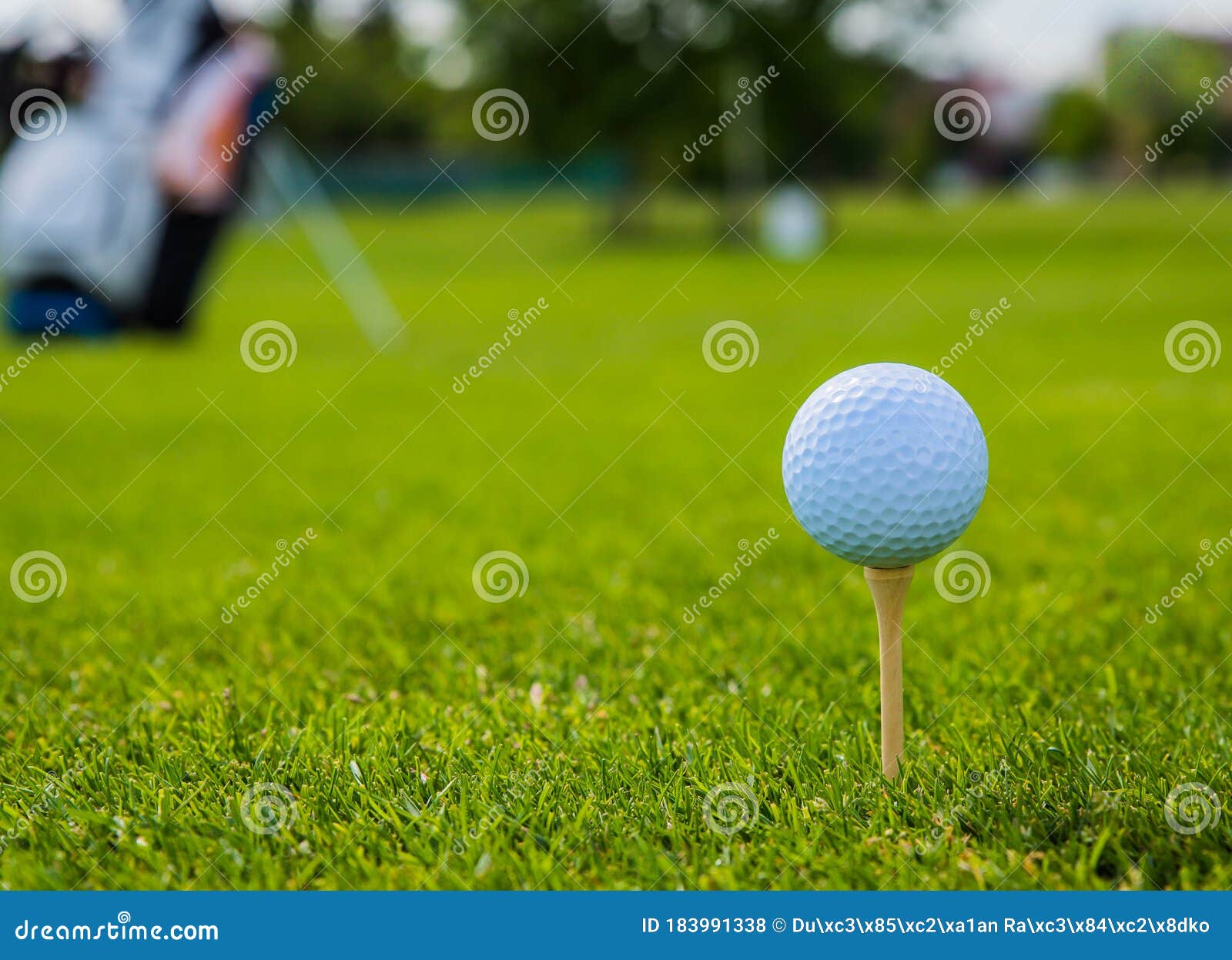 Golf Ball on Golf Green Grass Natural Fairway Stock Photo Image of