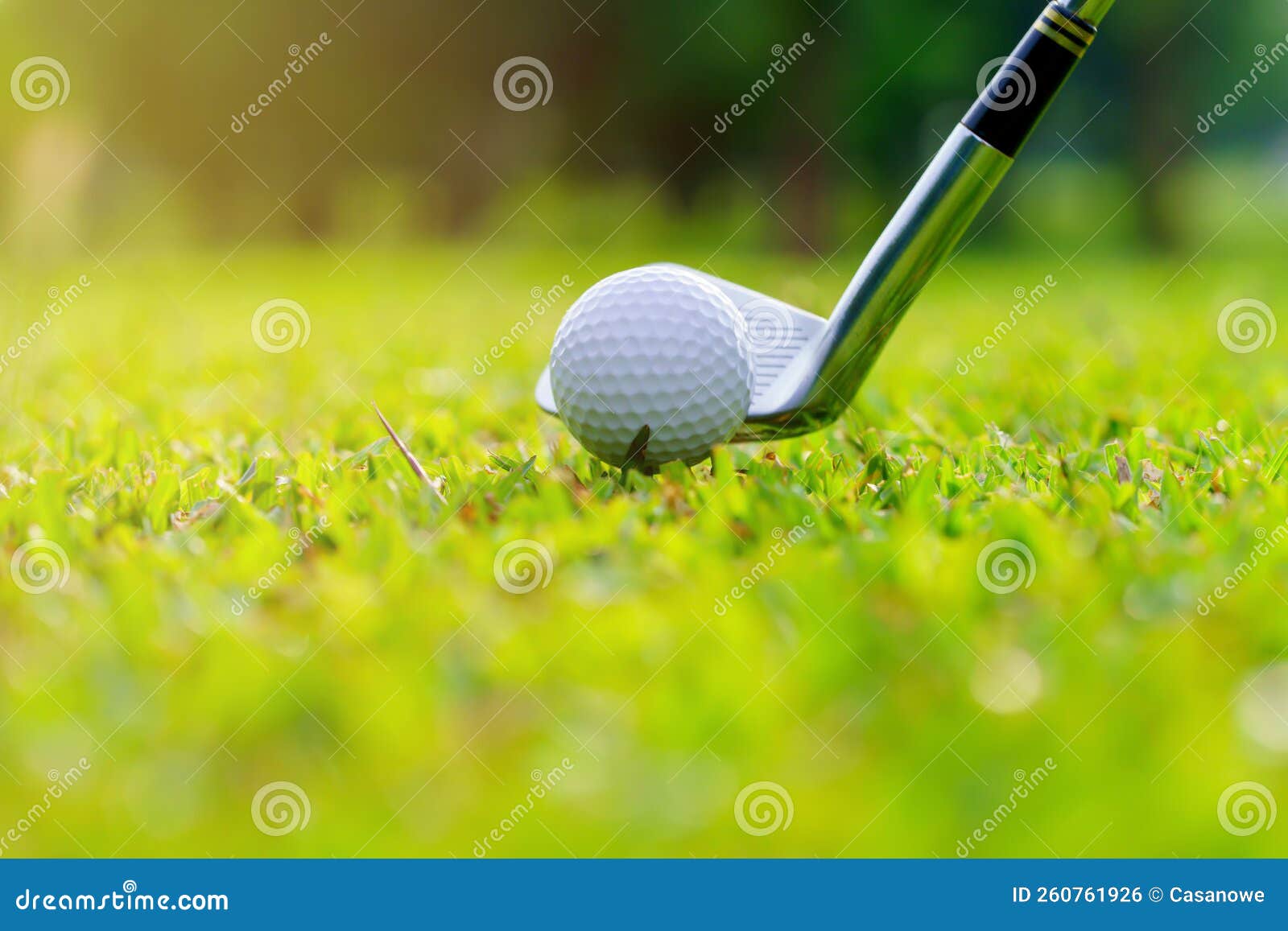 Golf Ball on Green Grass Ready To Be Struck on Golf Course Stock Photo