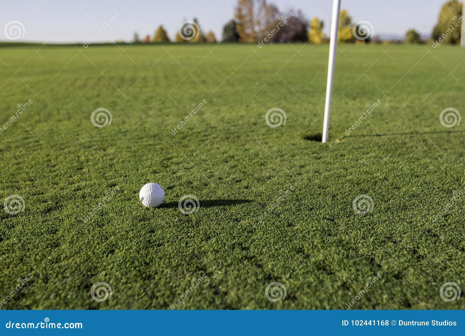 Golf Ball and Hole stock photo. Image of golf, competition 102441168