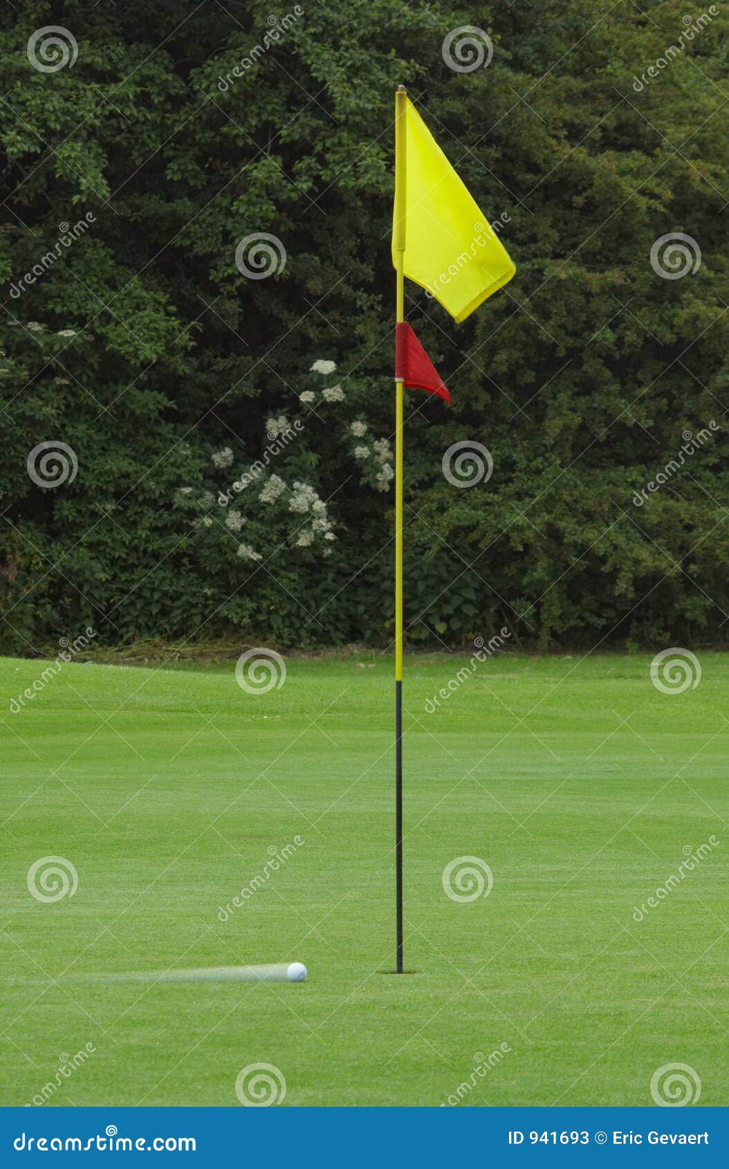 Golf ball in motion stock image. Image of ball, grass, golf 941693