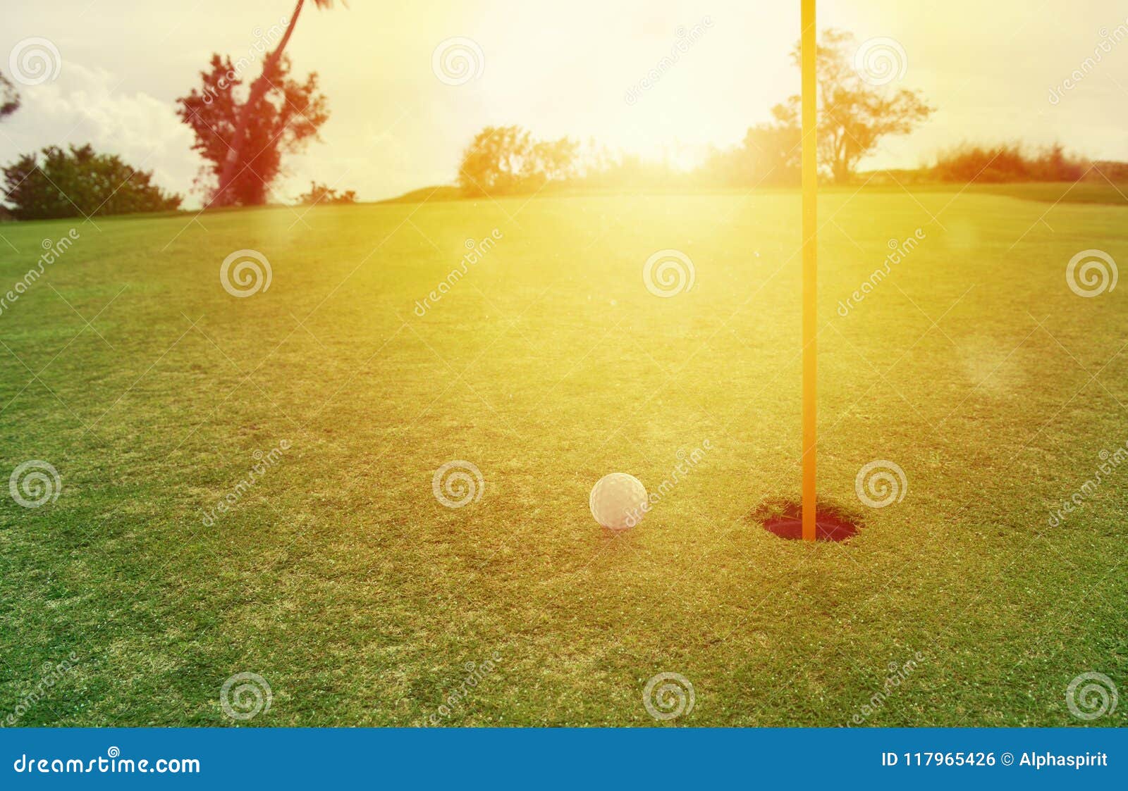 Golf Ball Near The Hole In A Grass Field Stock Photo Image Of Flag