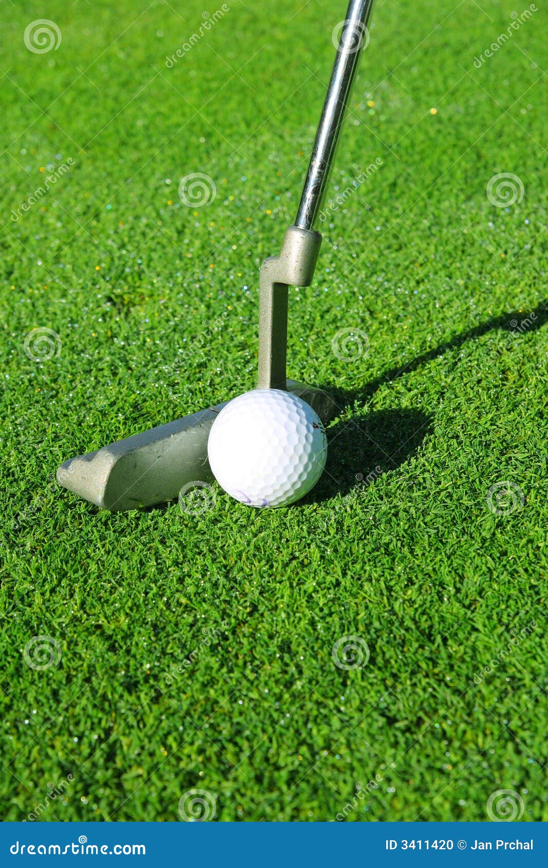 3 Ball 18 Hole Golf Bets Telegraph