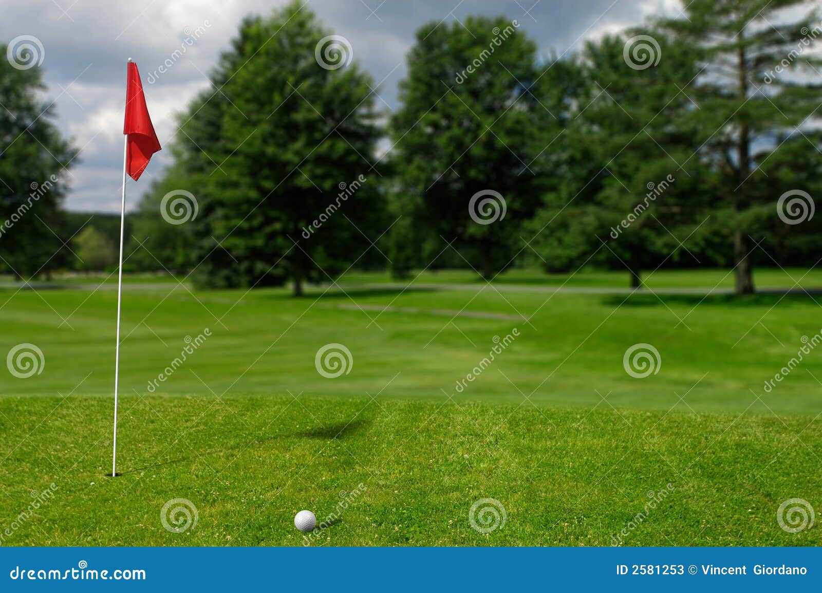 Golf Ball on the Putting Green Stock Image Image of golfball, summer
