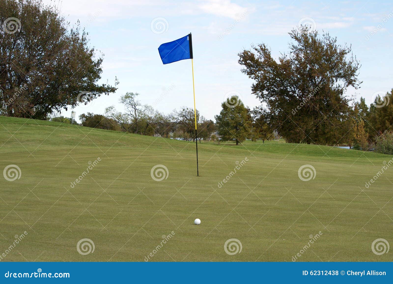 Golf ball on Putting Green stock photo. Image of vacation 62312438