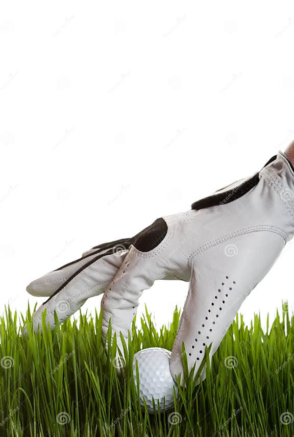 Golf ball retrieval stock photo. Image of activity, training 9295234