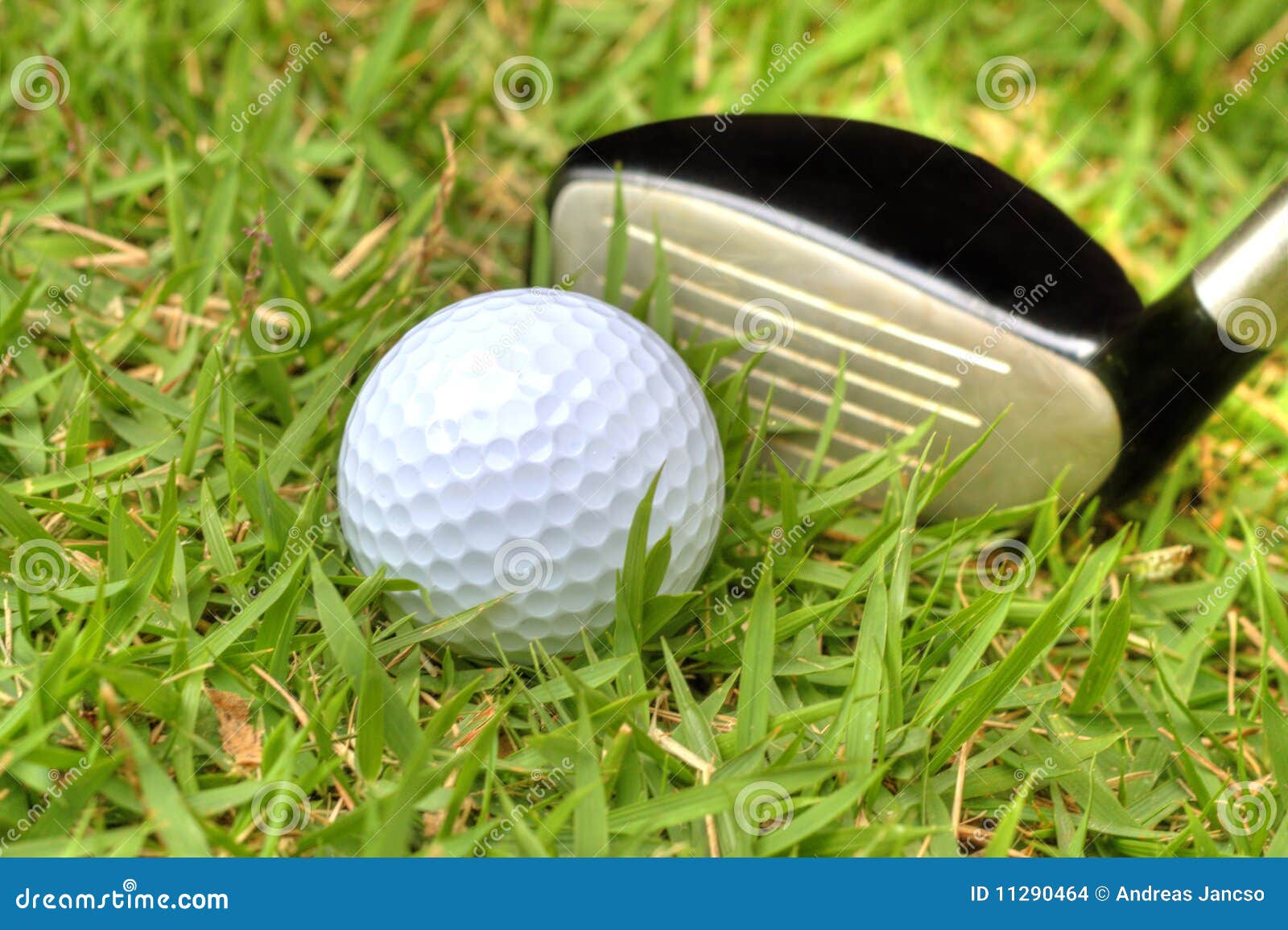 Golf Ball in the Rough stock photo. Image of drive, green 11290464
