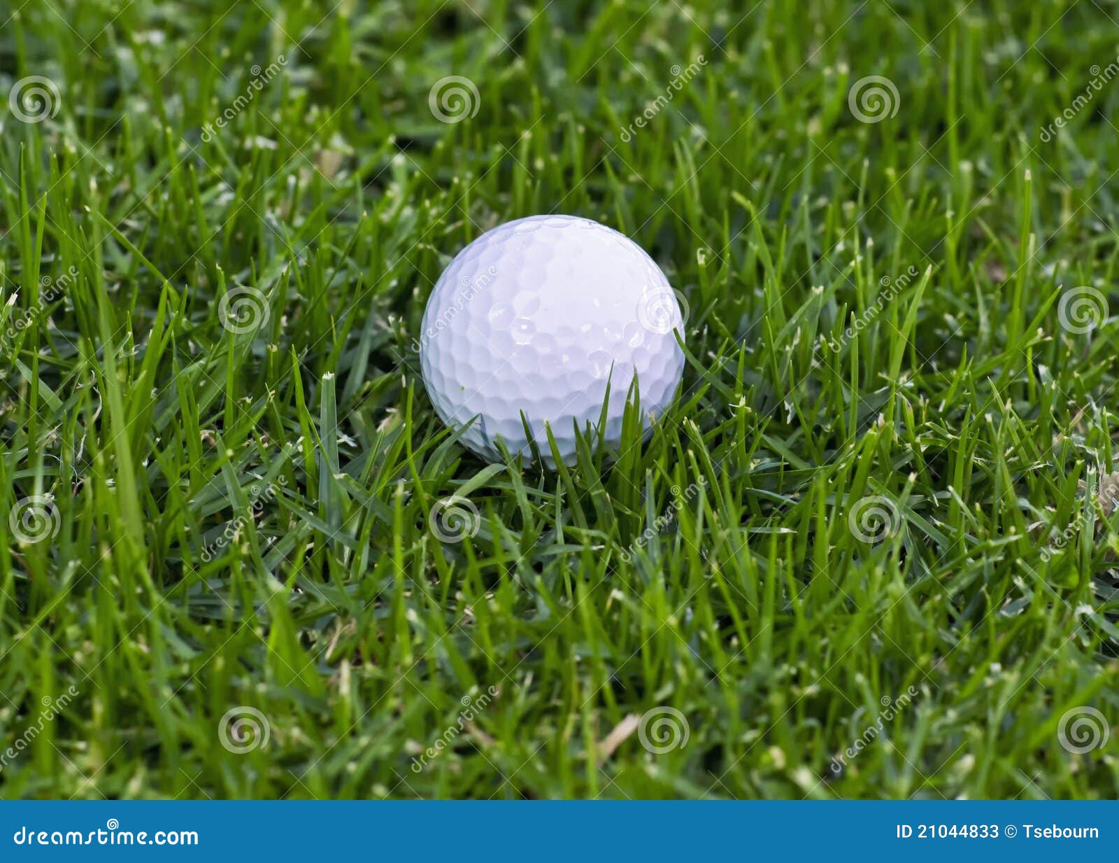Golf Ball in rough stock image. Image of background, closeup 21044833