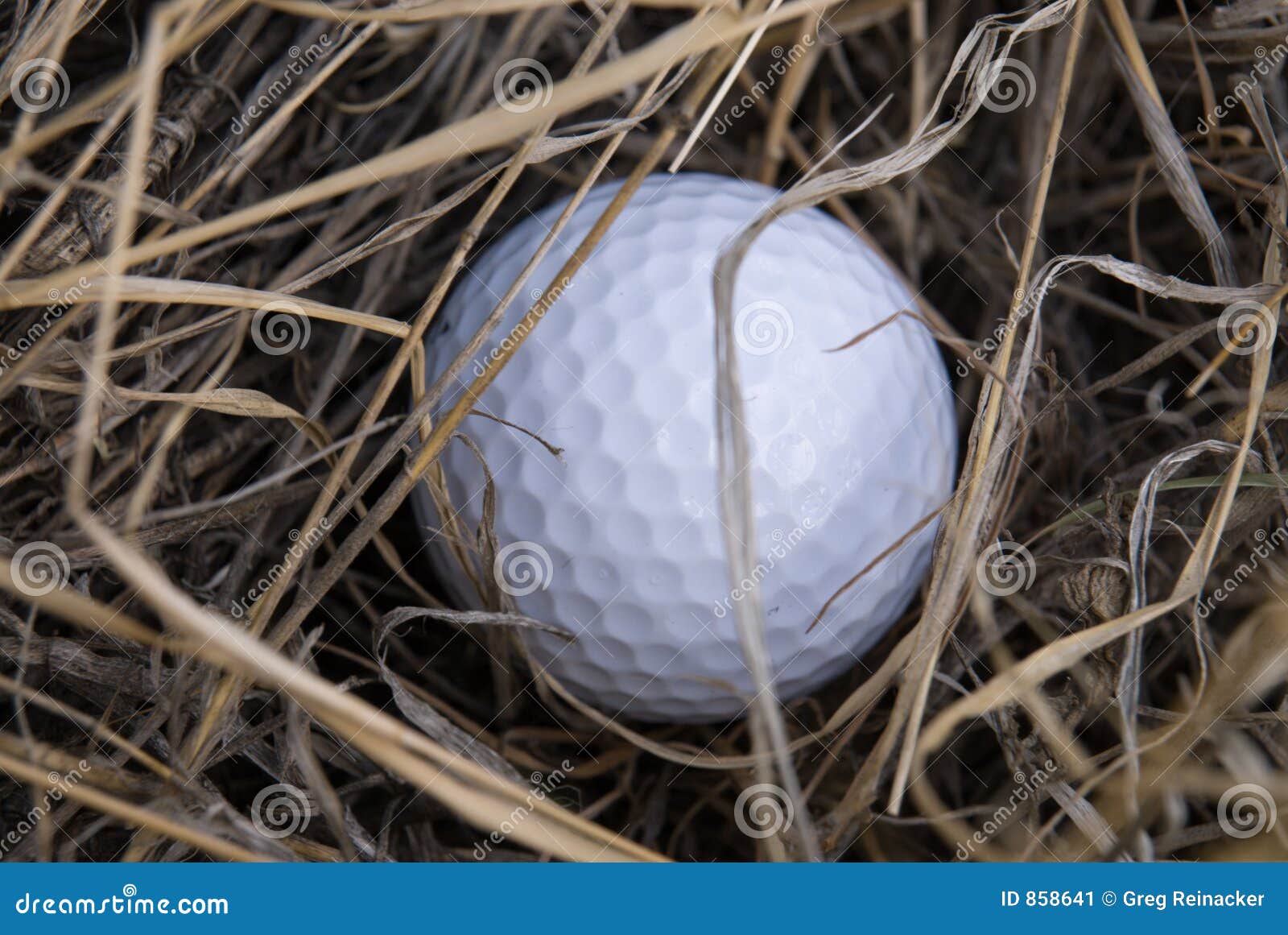 Golf ball in the rough stock image. Image of competition 858641