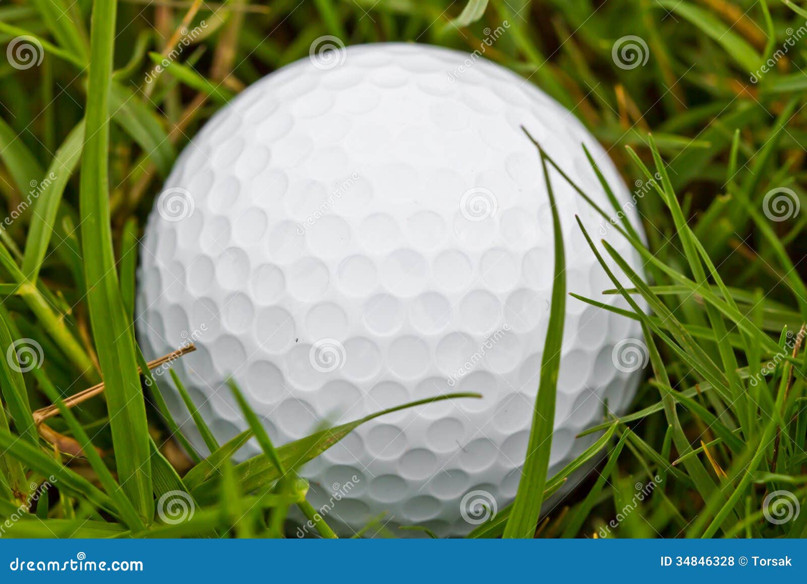 Golf ball in the rough stock photo. Image of fairway 34846328