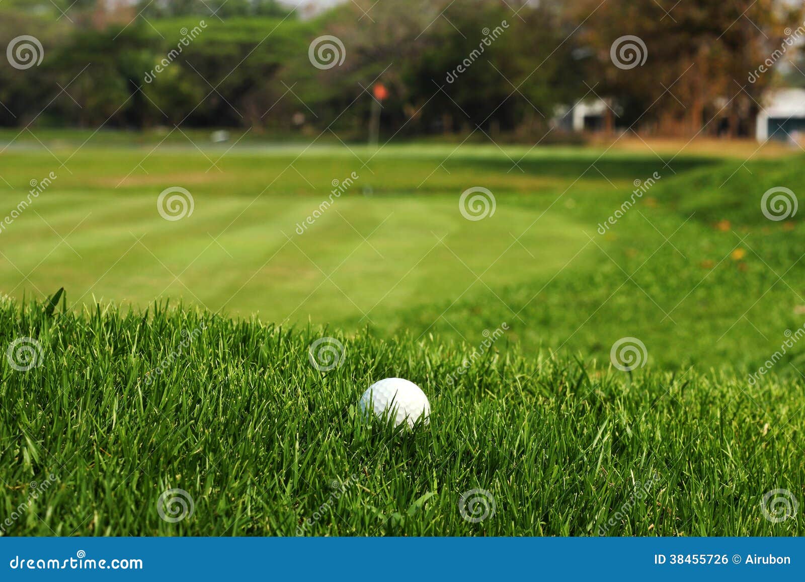 Golf Ball in Rough Grass on Fairway Stock Photo Image of activity