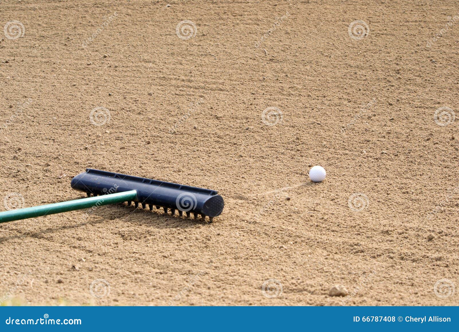 Golf Ball in a Sand Trap with a Rake Stock Photo Image of sports