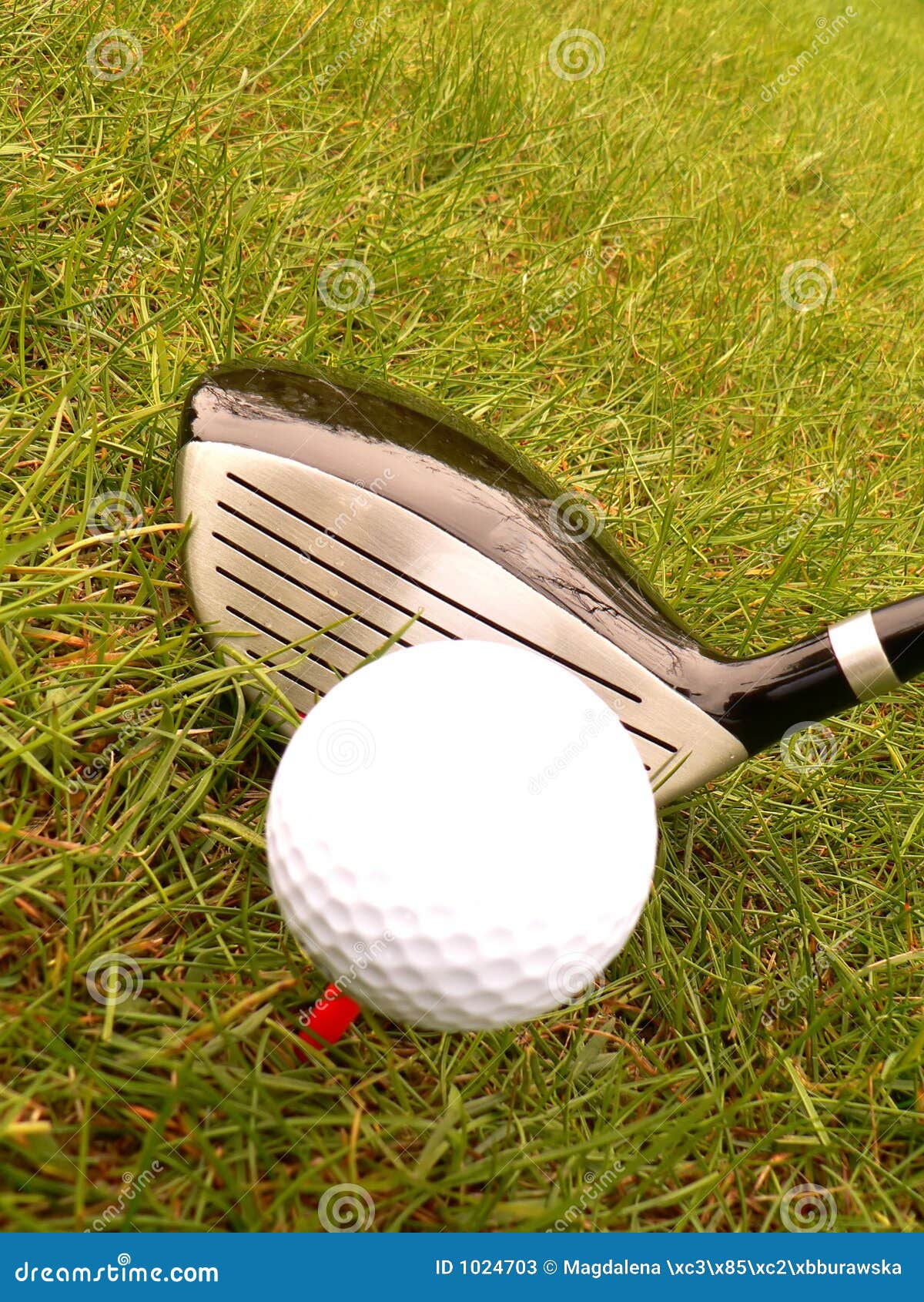 Golf ball and stick stock image. Image of putter, sport - 1024703