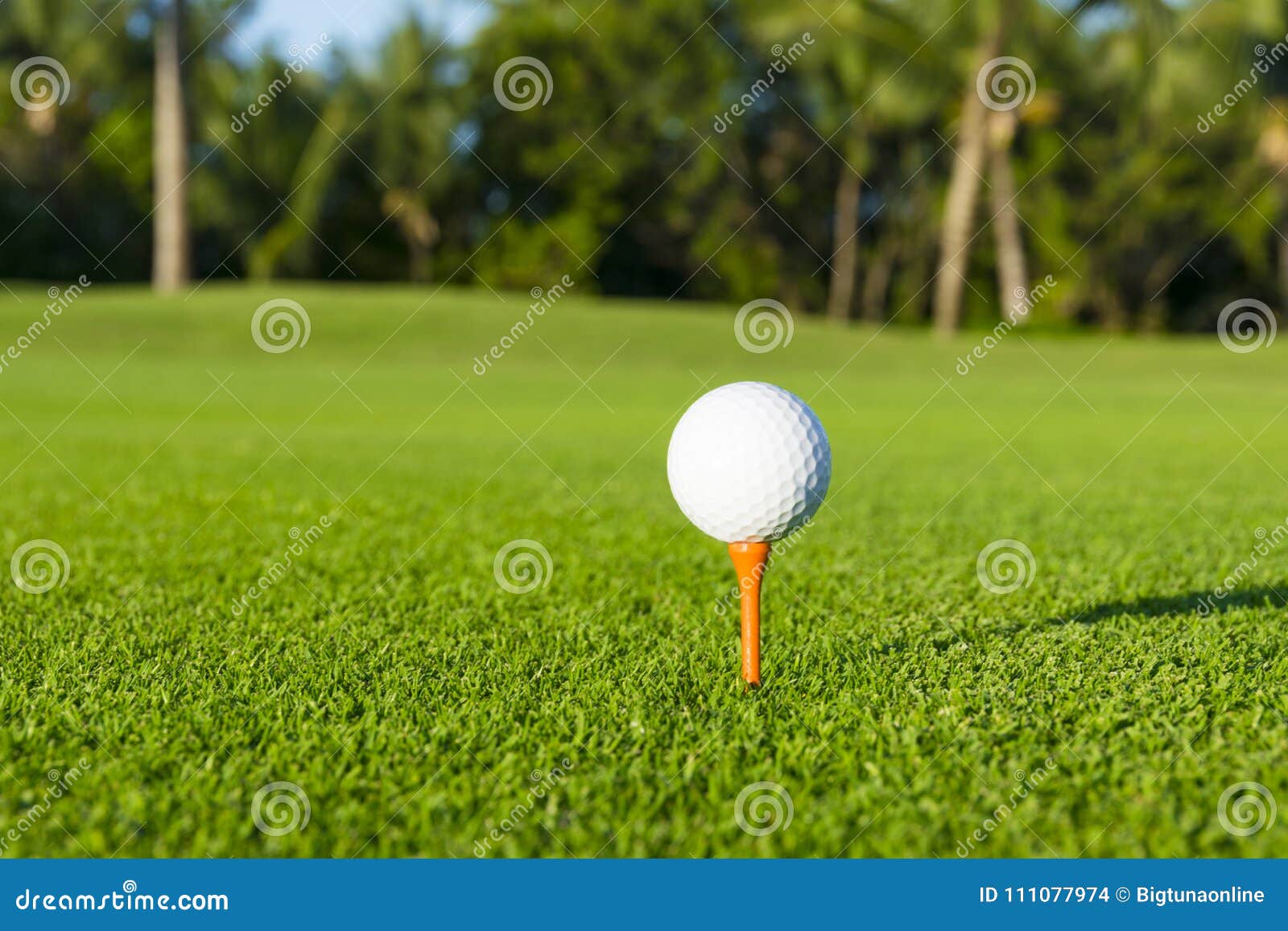 golf ball on tee on golf course over a blurred green field.