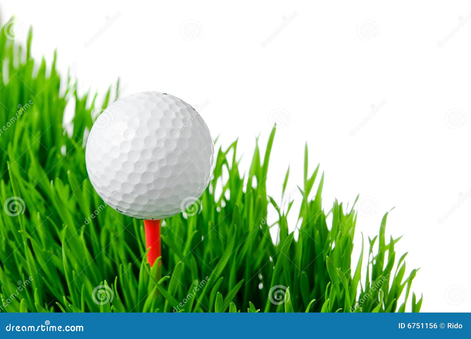 Golf ball on tee isolated stock photo. Image of golf, background - 6751156