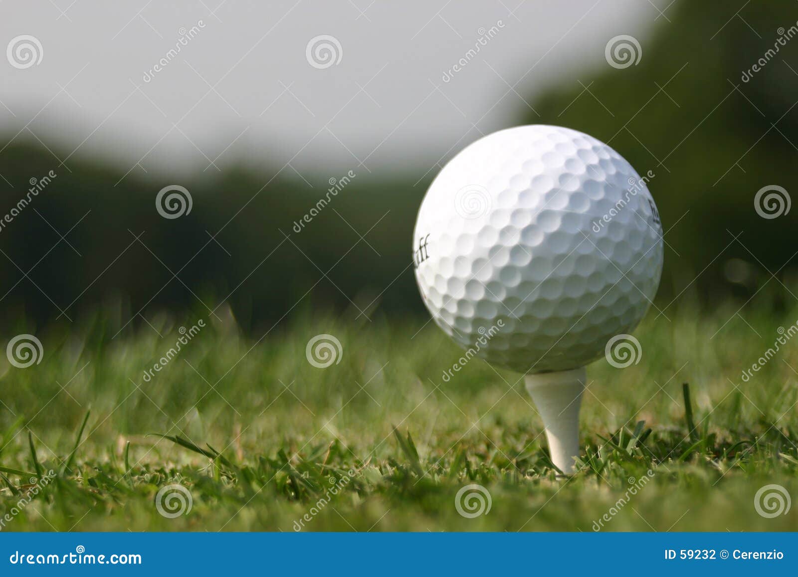 Golf Ball on Tee (real Golf Course) Stock Photo Image of golfcourse