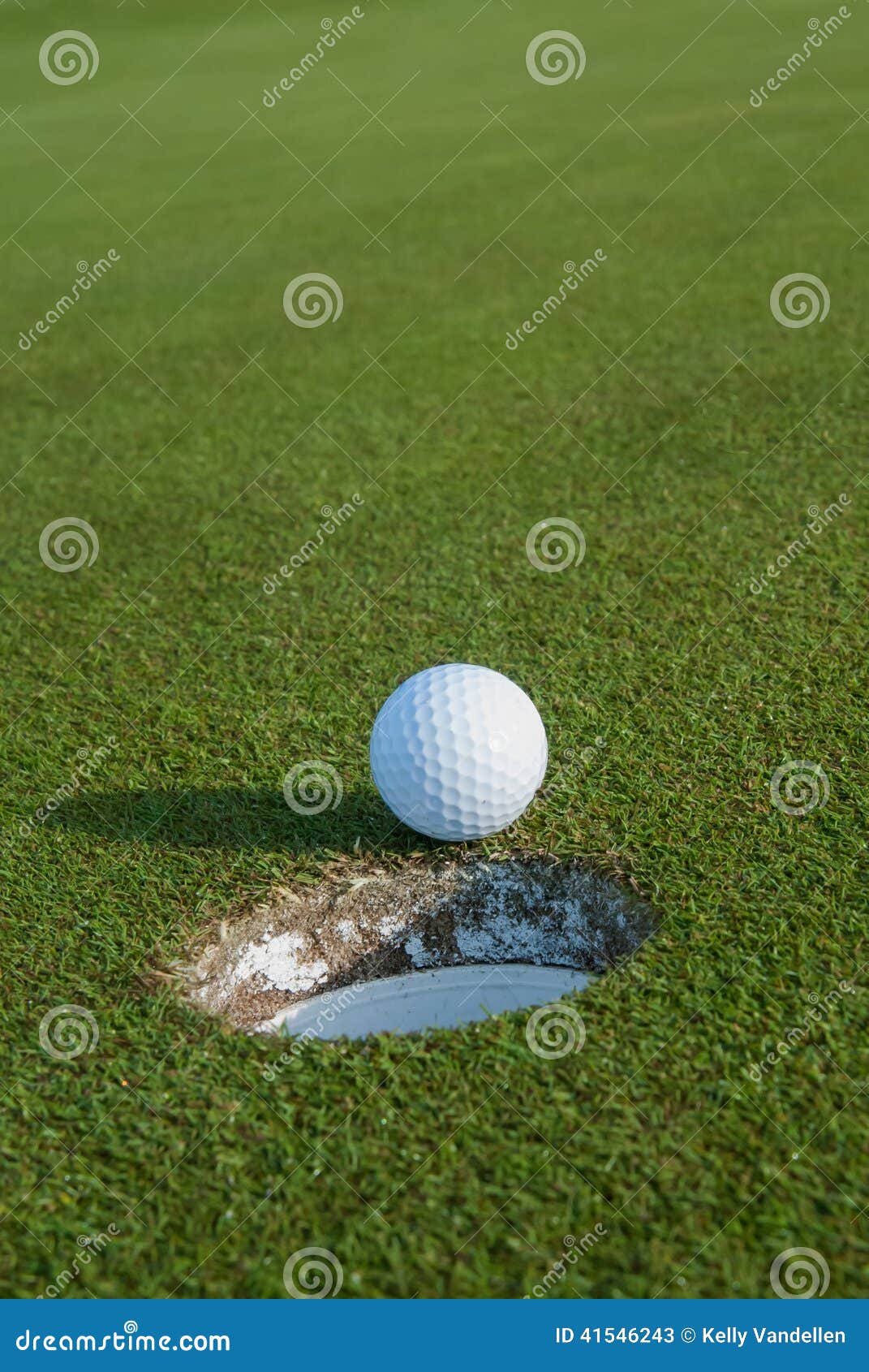 Golf Ball about To Go in the Hole Stock Image Image of bermuda, plant