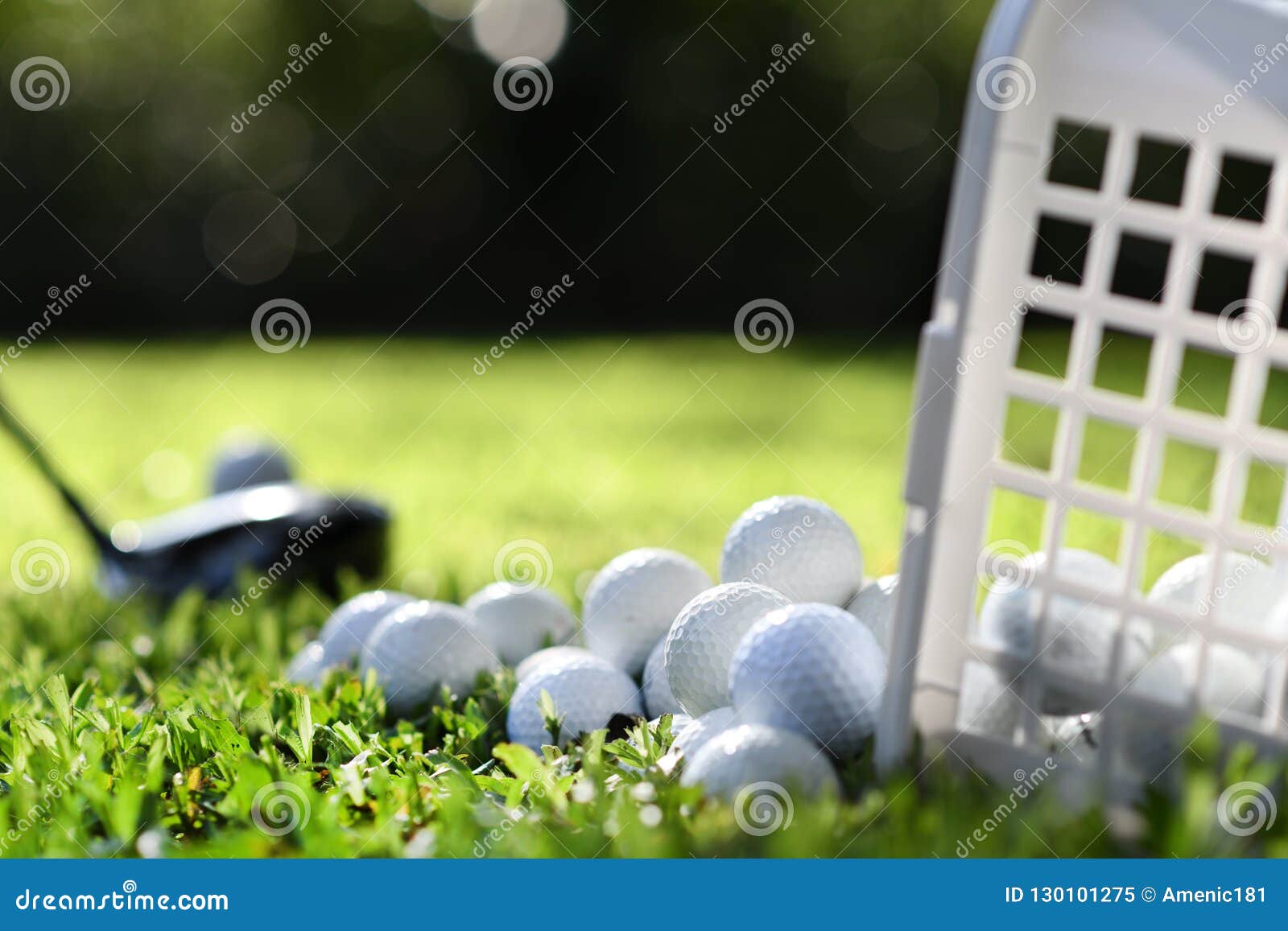 Golf Balls in Basket on Green Grass for Practice Stock Image Image of