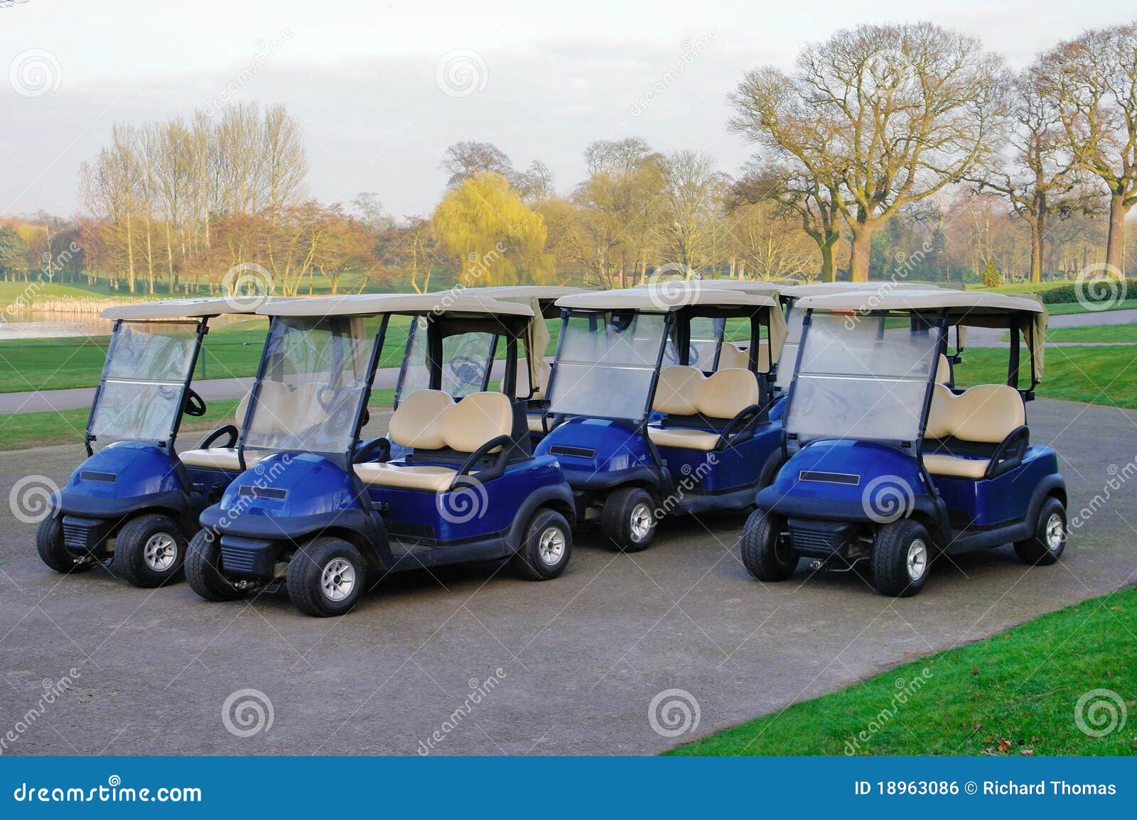 Golf buggies stock photo. Image of parked, carriages 18963086