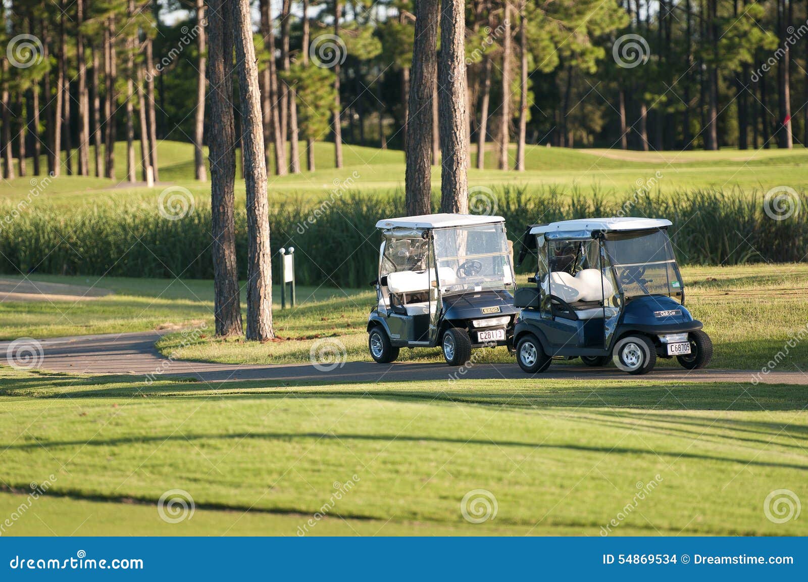 Golf Buggies on Course editorial stock image. Image of cove 54869534