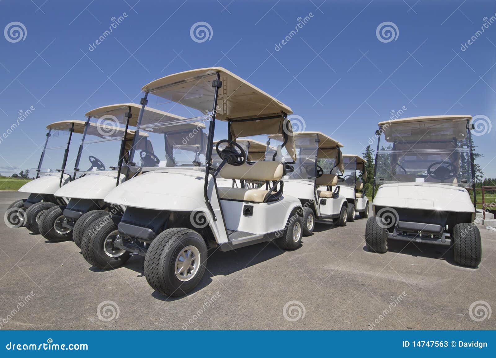 golf carts