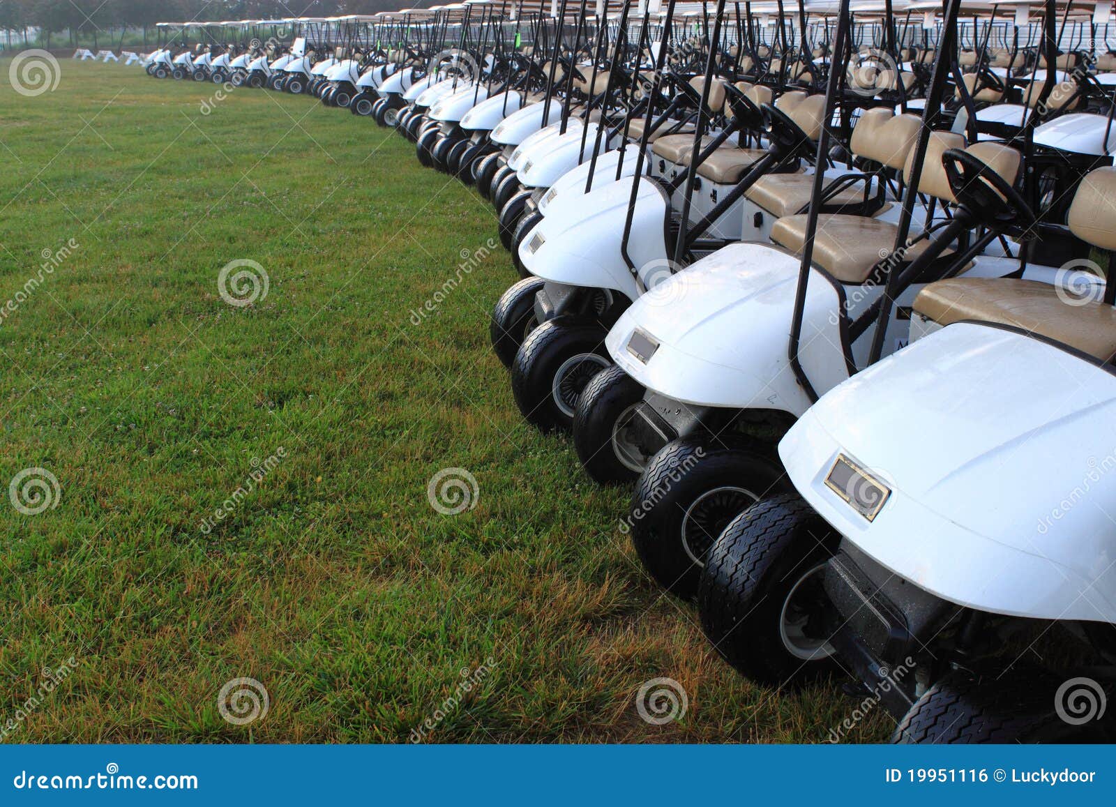 golf carts