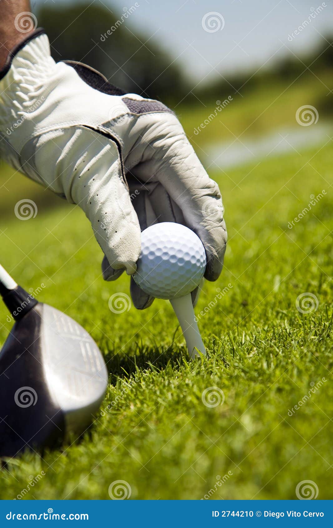 Golf club stock photo. Image of competing, arrange, competitiveness