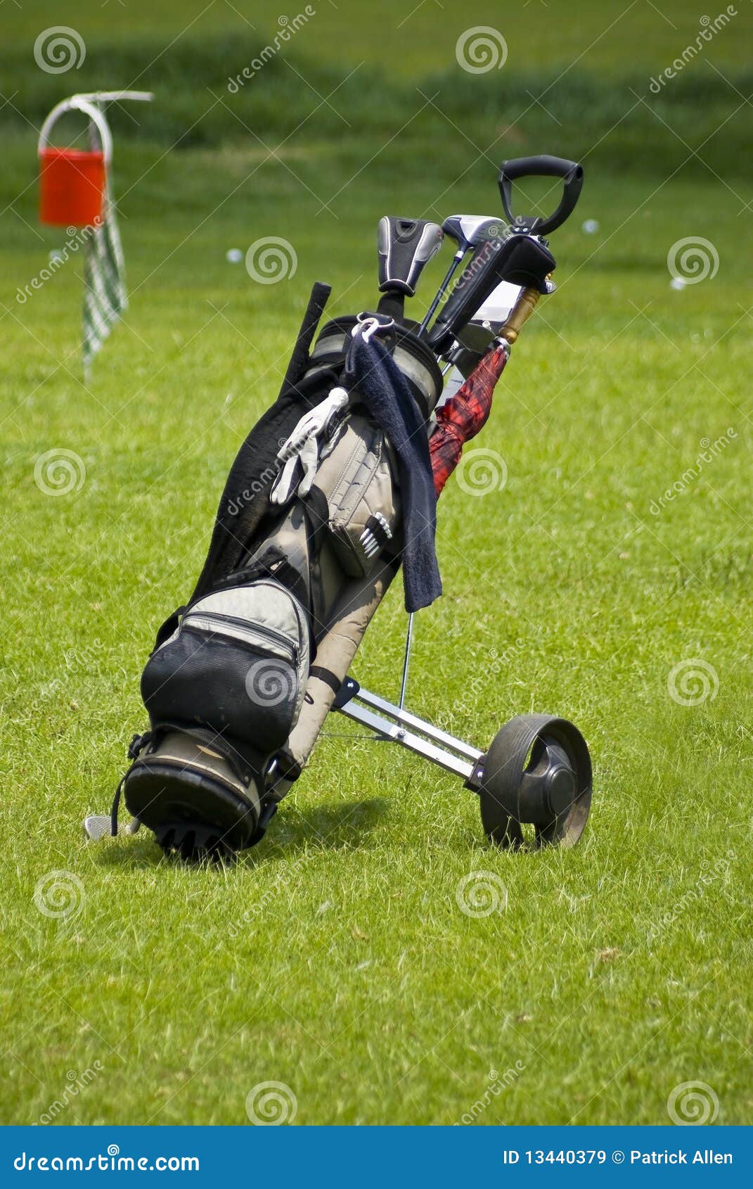 golf bag and buggy