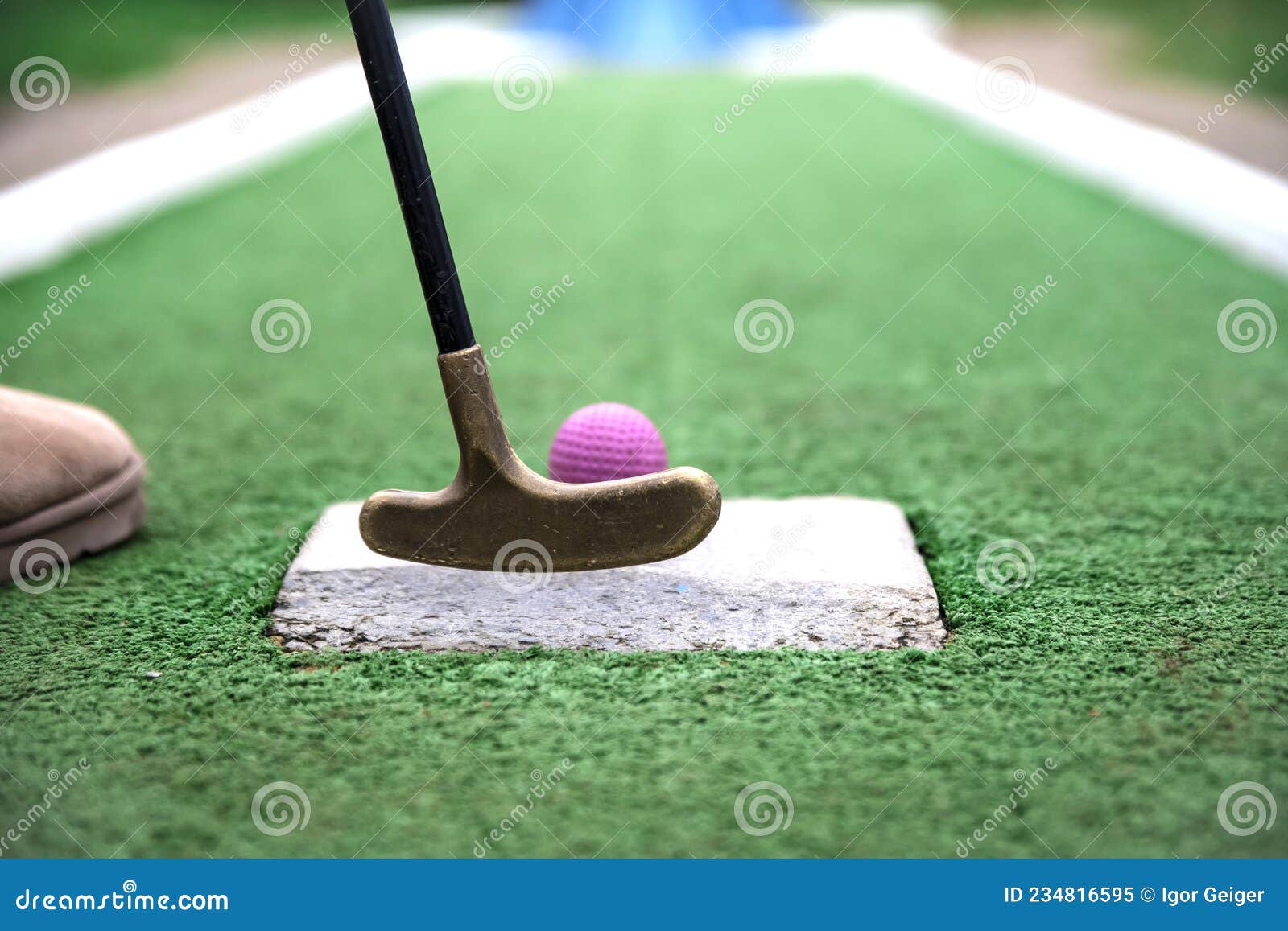Golf Club before Hitting the Ball in the Mini Golf Course Stock Image