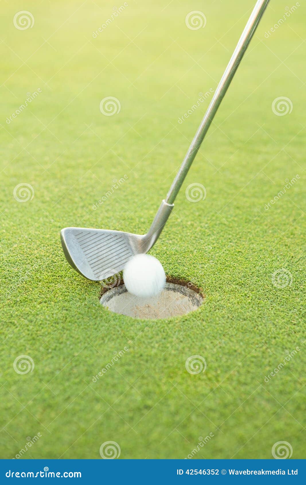 Golf Club Putting Ball at the Hole Stock Photo Image of ball