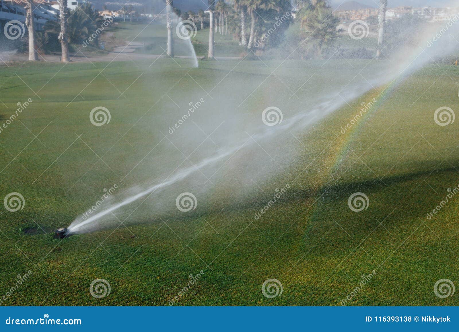 Golf Course Automatic Lawn Sprinkler Stock Photo Image of gardening