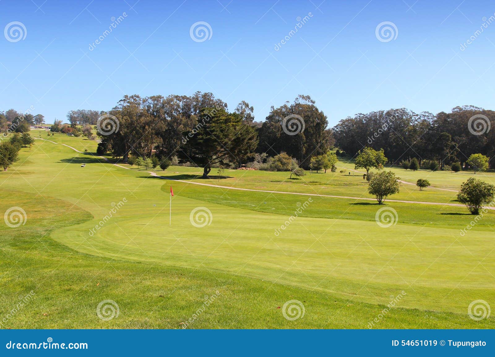Golf course stock image. Image of links, leisure, hole 54651019