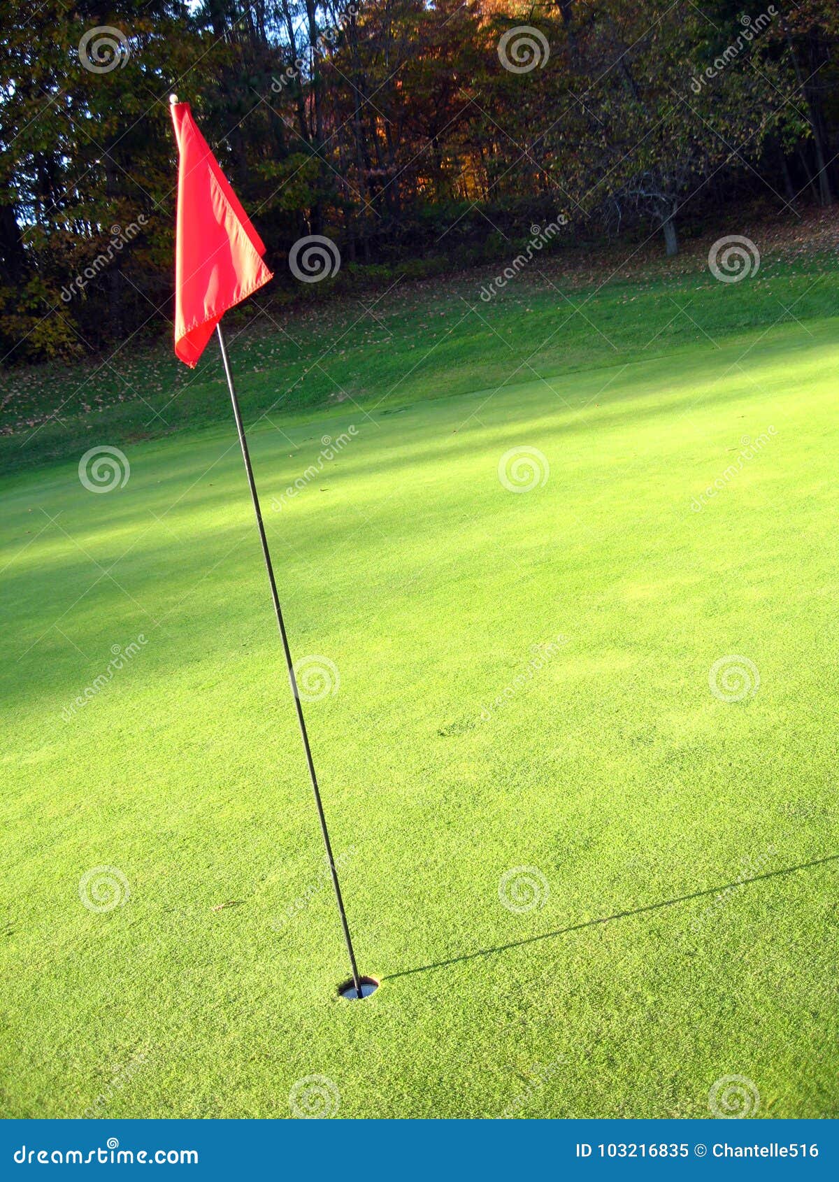 Golf course stock image. Image of field, lawn, green 103216835
