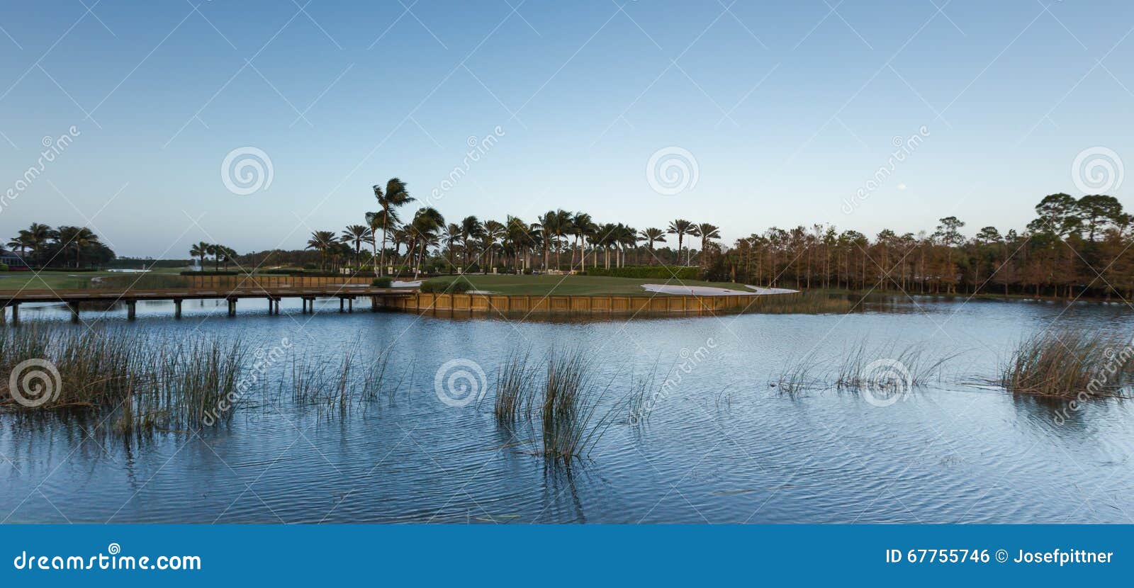 Golf Course in Florida in Winter Stock Photo Image of golf, shore 67755746