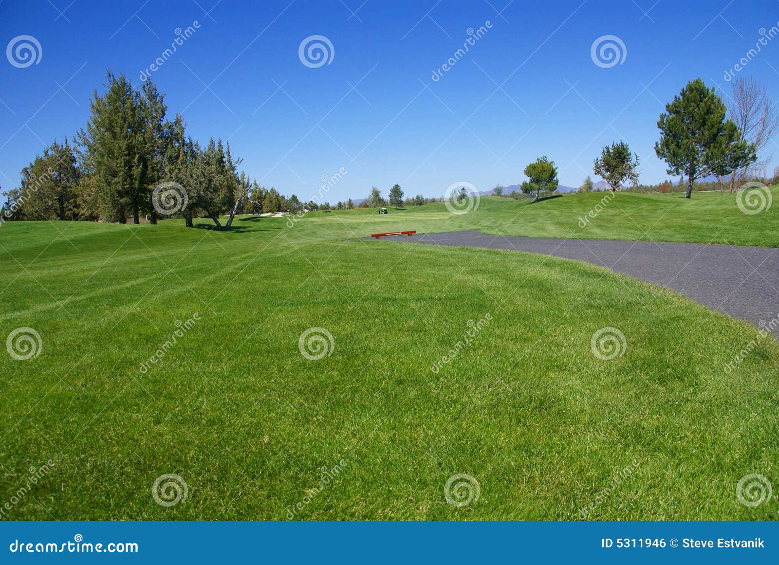 Golf course, green fairway stock photo. Image of green 5311946