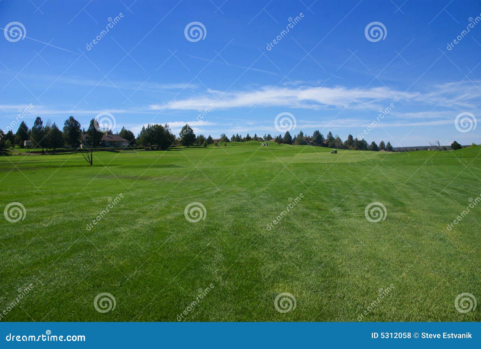 Golf course, green fairway stock photo. Image of sport 5312058