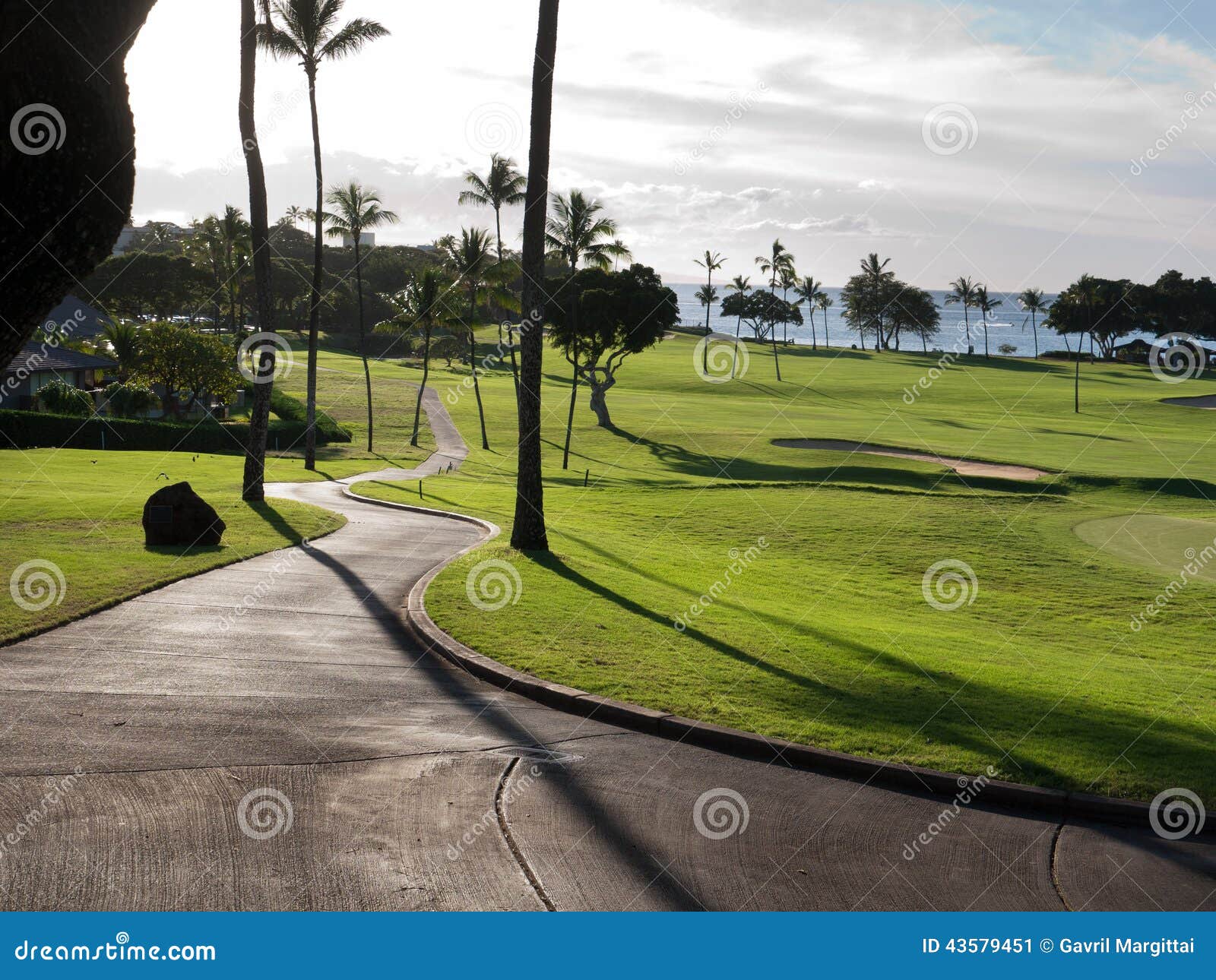 Golf course in Hawaii stock image. Image of golfing, shadow 43579451