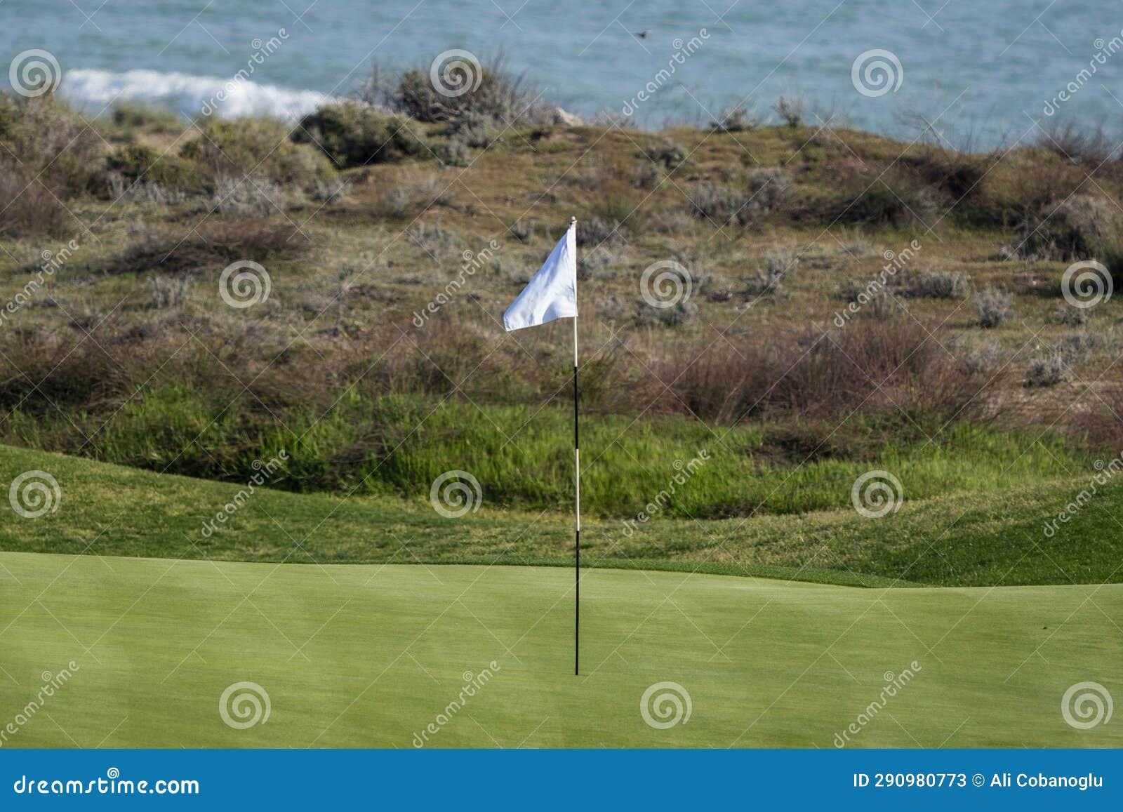 A Golf Course and Its Flag Pole. Flag Pole on a Golf Green Stock Image