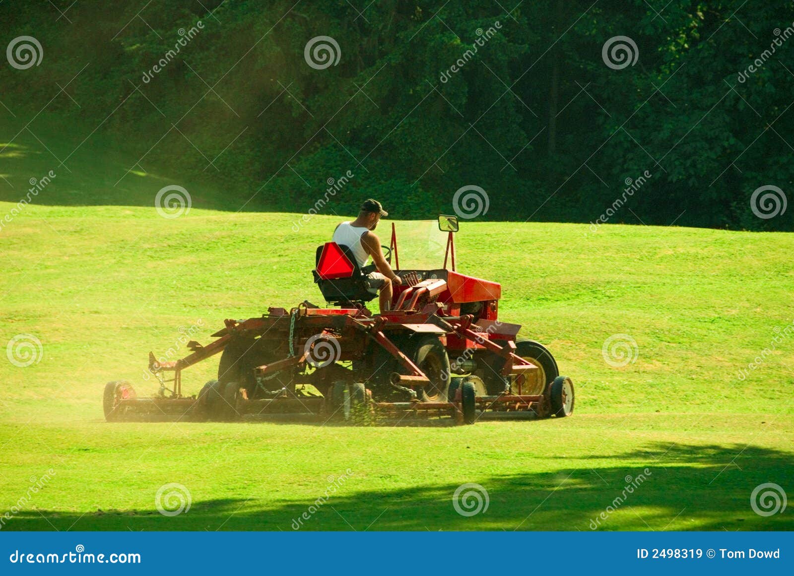 golf course mowing