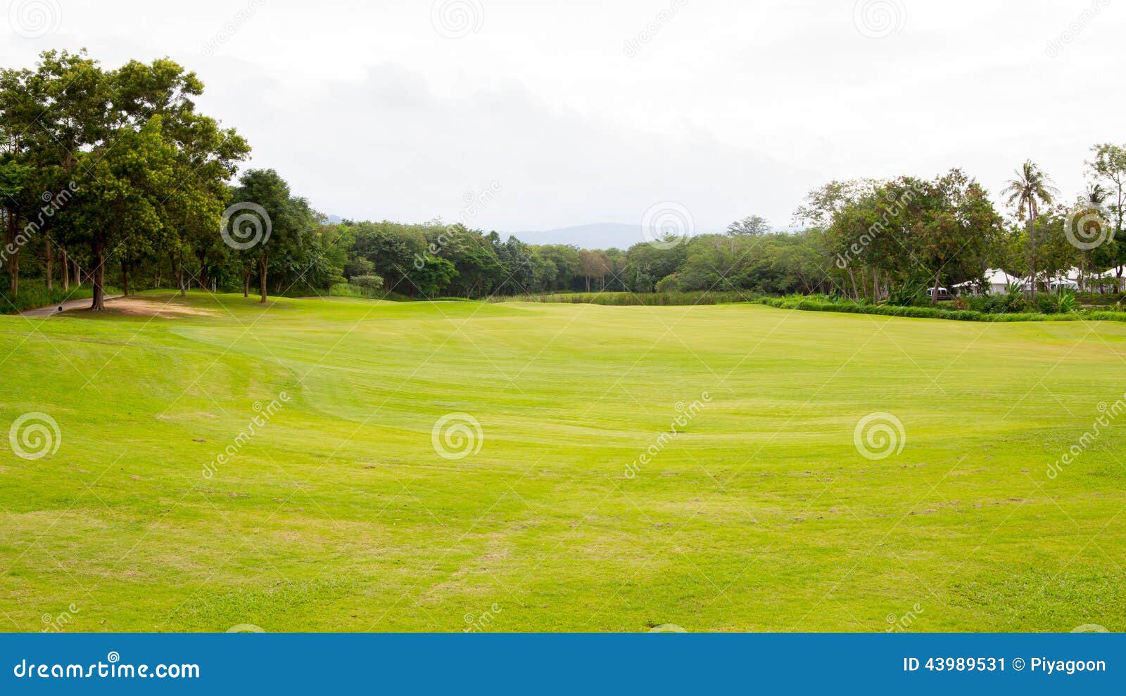 Golf course stock image. Image of beautiful, forest, sport 43989531
